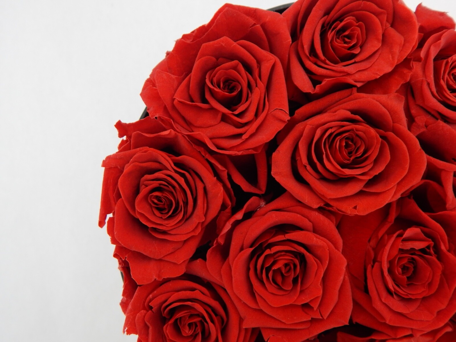 VLove® Forever Preserved Roses in a Box Real Forever Flowers Eternal Rose Red