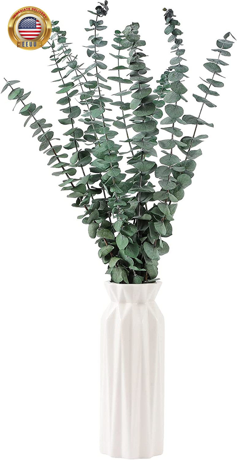 10 Pcs Dried Eucalyptus Stems 17″ Real Eucalyptus for Shower Hanging 100% Made f