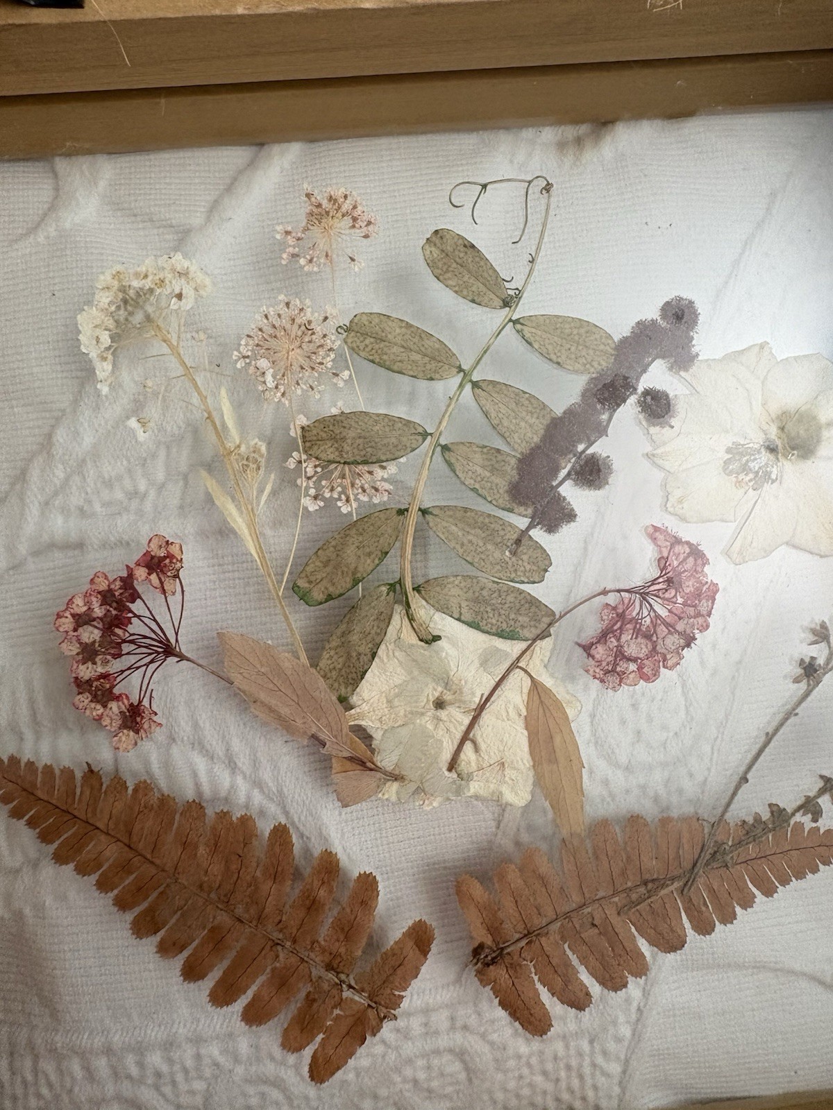 Dried Pressed Flowers Leaves Wood Frame Under Glass Gallery Wall Boho Decor 8×8