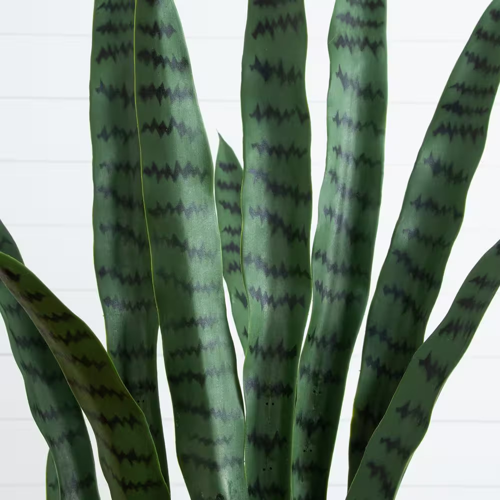 5 Ft. UV Resistant Artificial Sansevieria Plant in White Decorative Planter (Ind
