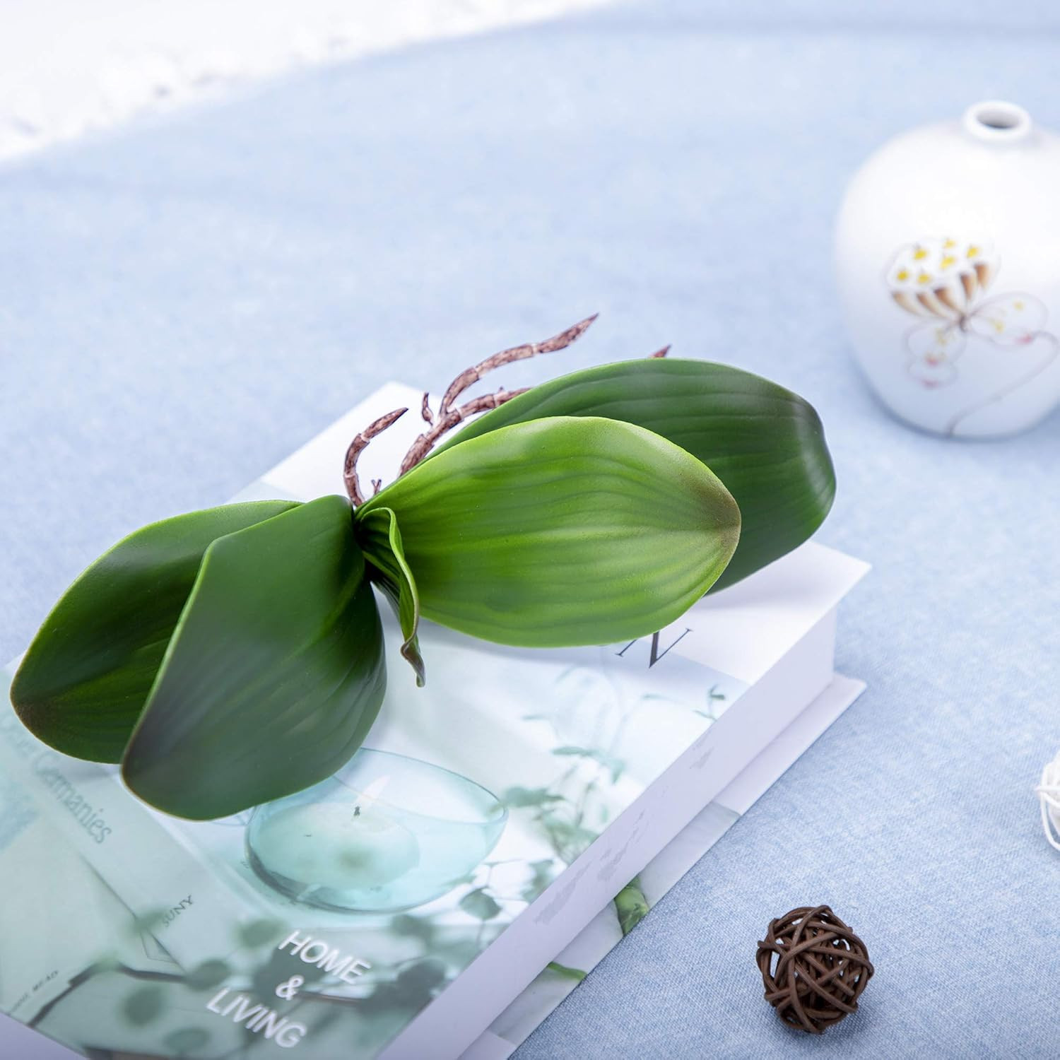 Orchid Leaves Artificial Phalaenopsis Stems Leaf Real Touch 8″ 2Pcs | Faux Cymbi