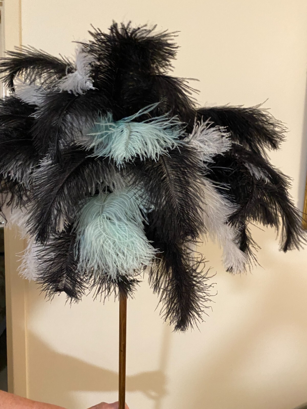First grade ostrich feather display 95grm white – black ostrich mint feathers