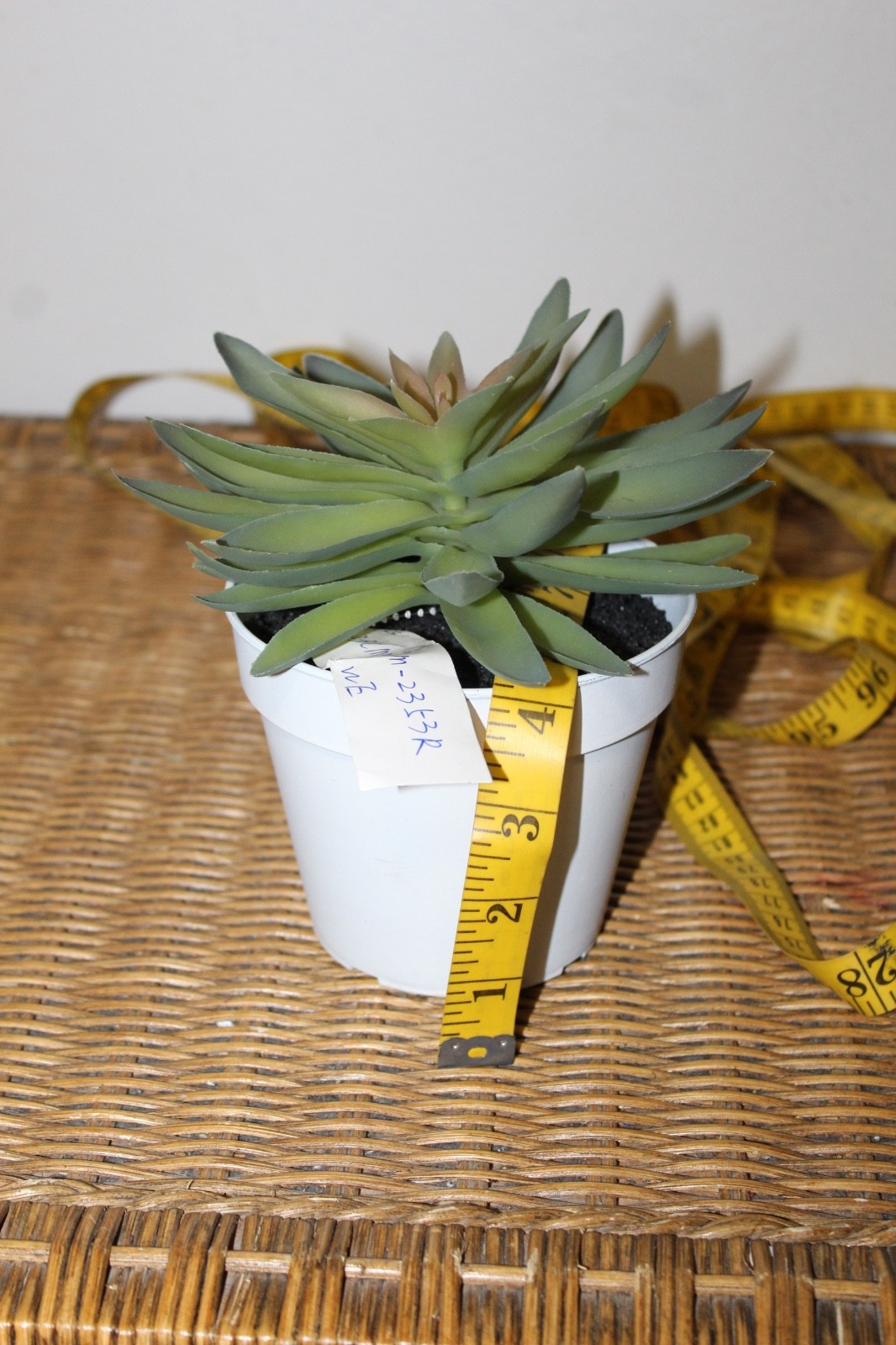 Williams Sonoma Artificial Potted Succulent (Rosette Style)