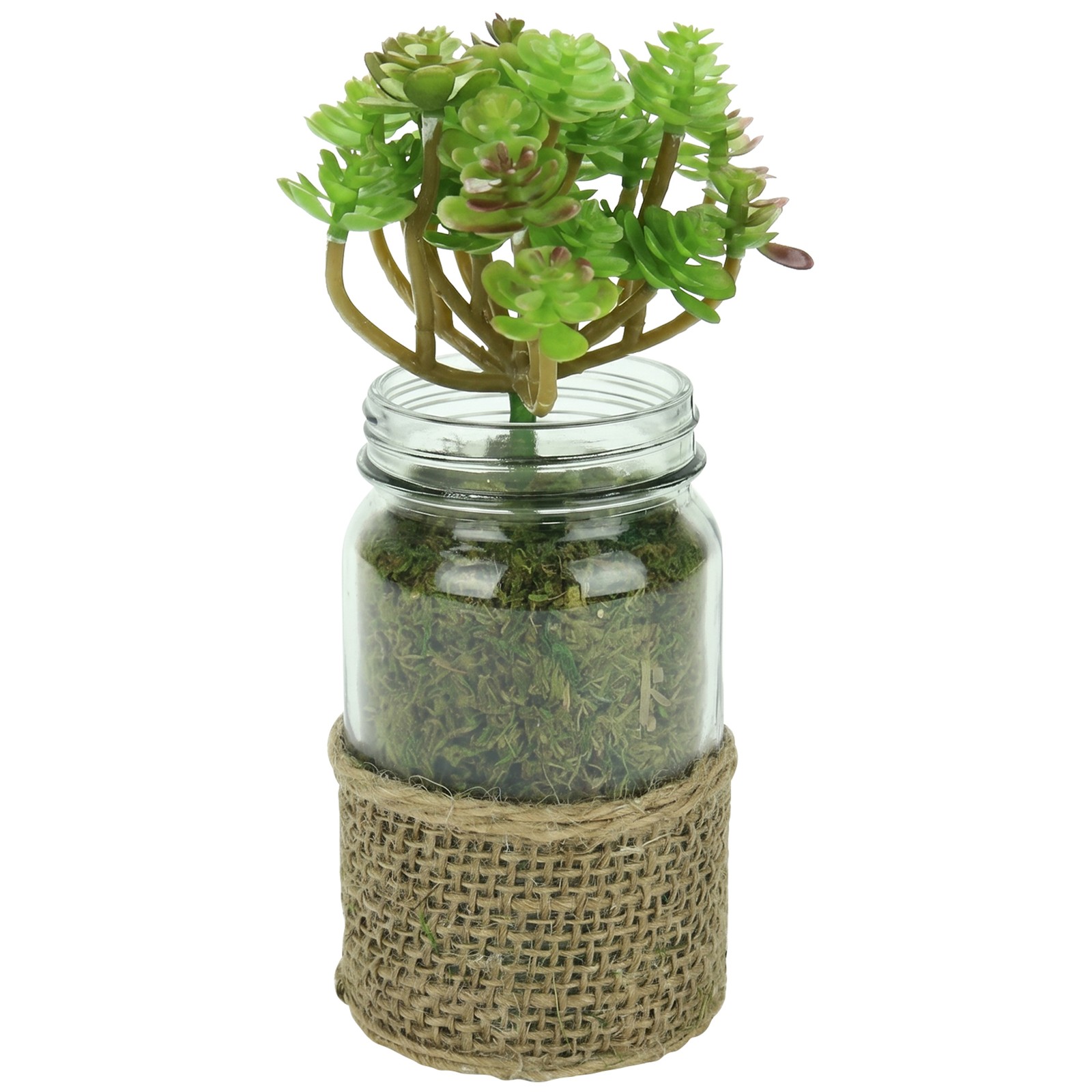 Melrose Artificial Potted Crassula Succulent Plant Glass Jar Burlap Grip 7.25″