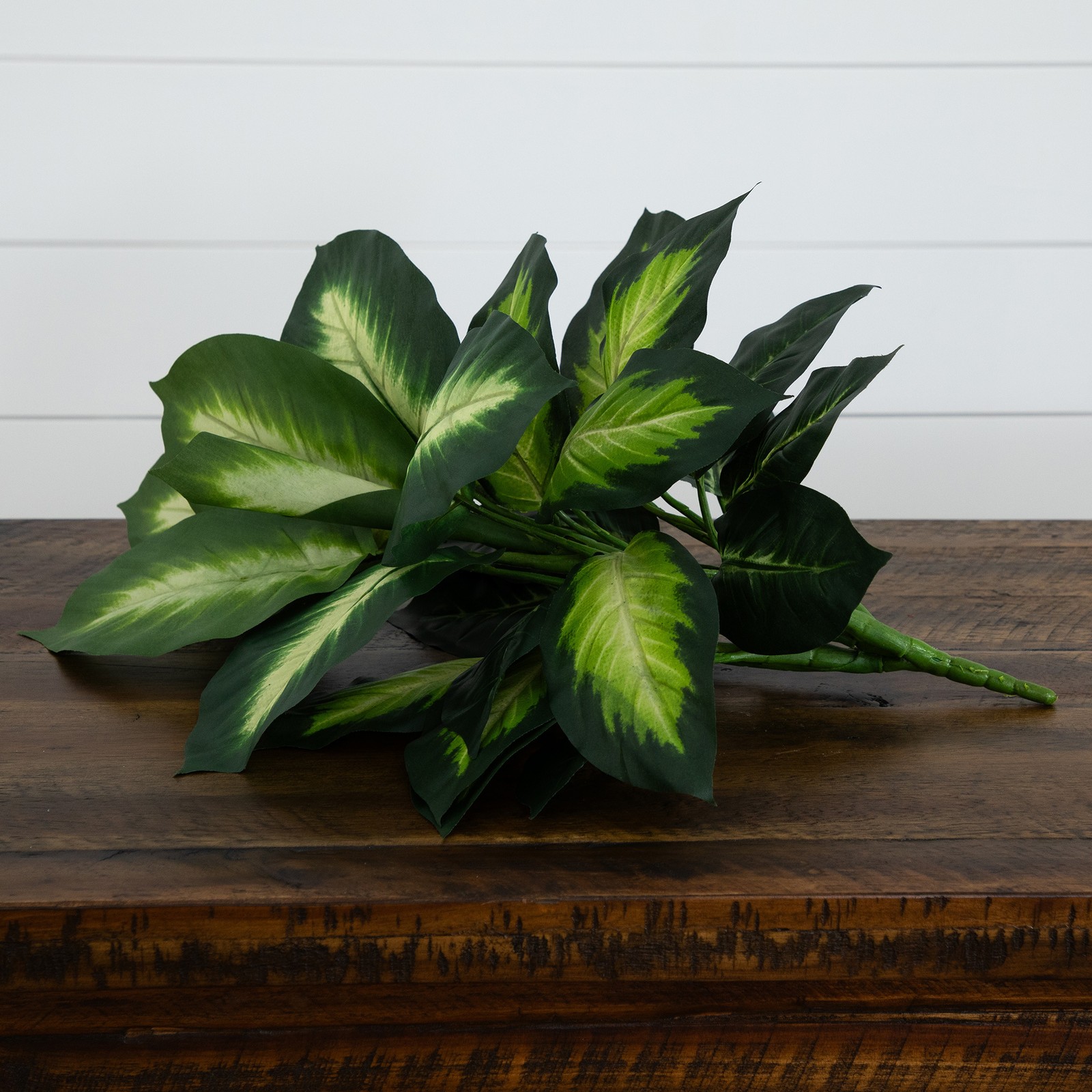 Nearly Natural 20″ Artificial Golden Dieffenbachia Plant – Set of 6 in Green