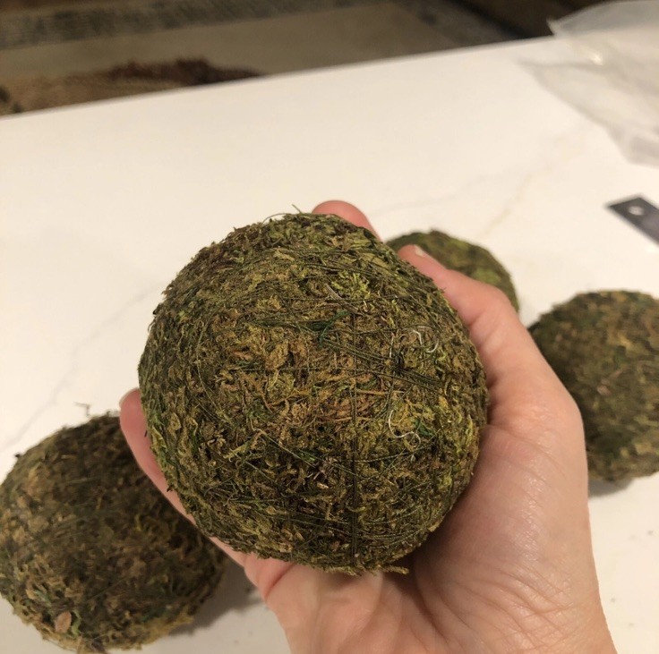 Natural Moss Balls Spheres 3-3.5 inches (5 Balls)