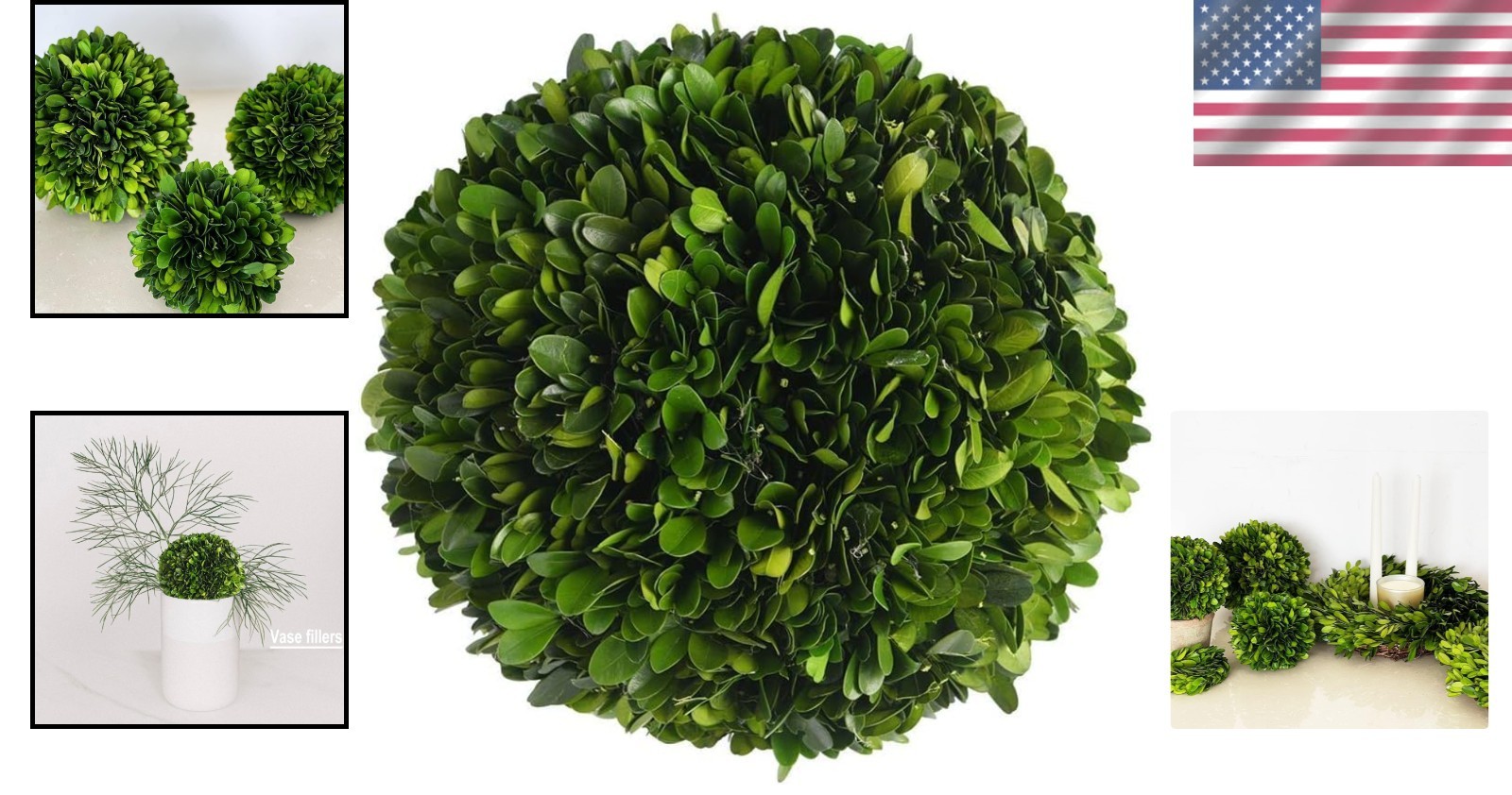 Elegant 8-Inch Preserved Boxwood Decorative Ball for Centerpieces & Bowls