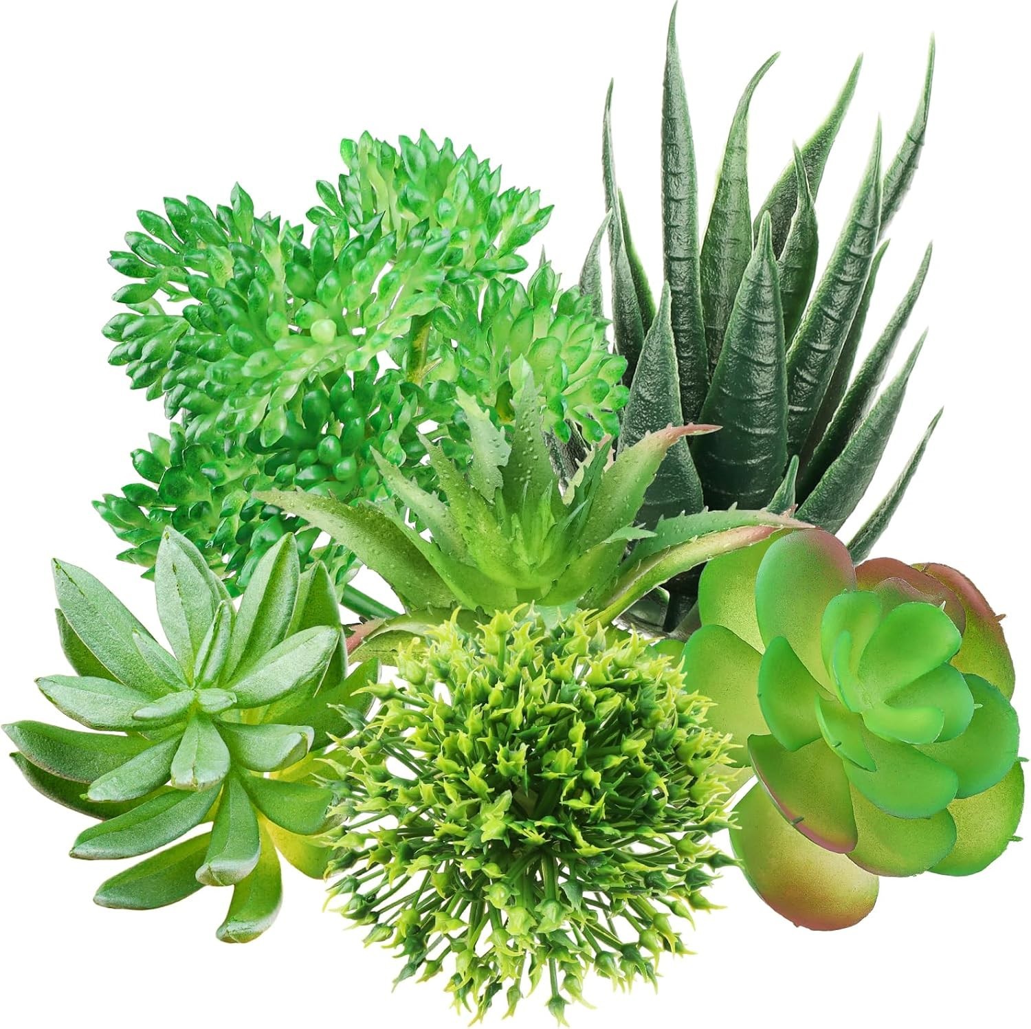 Realistic Hand-Painted Mini Succulents – Perfect for DIY Crafting & Decoration