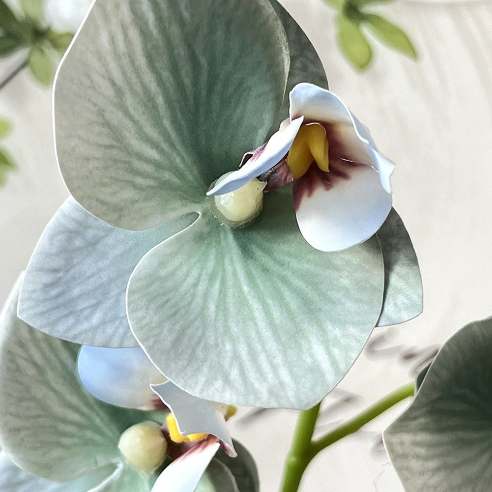 Artificial Orchid Flowers 5 Pcs 21cm Tall for Living Room Bedroom Office Decor