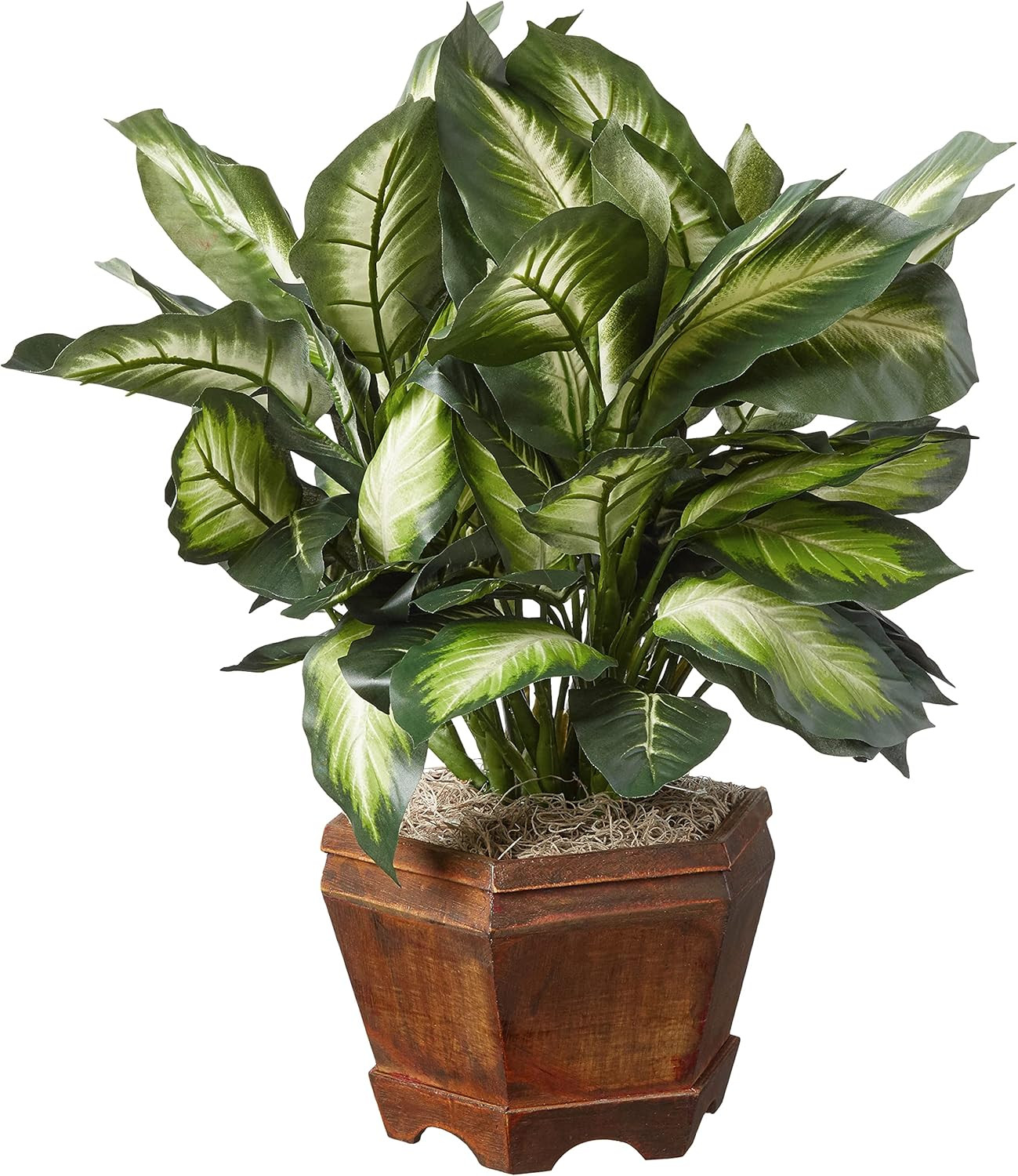 22IN Artificial Triple Golden Dieffenbachia Plant with Decorative Wood Planter,