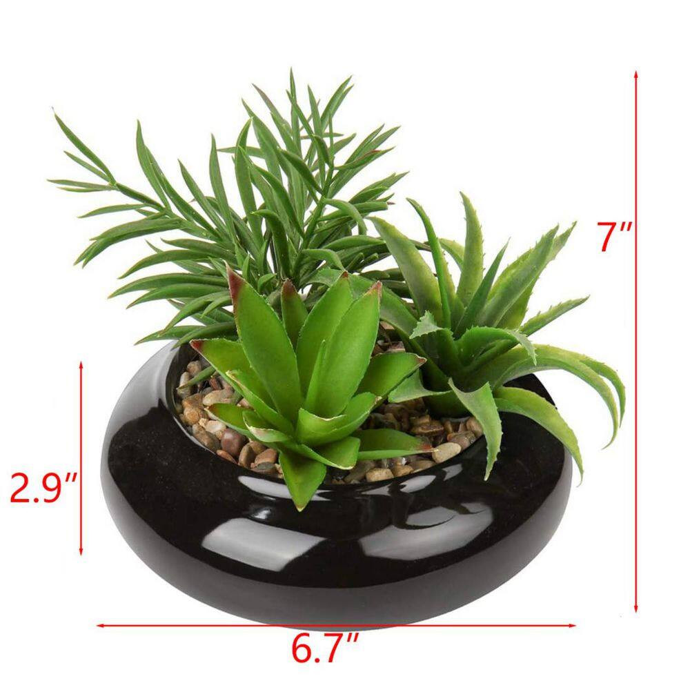 Potted Artificial Succulent Plant with Black Ceramic Pot