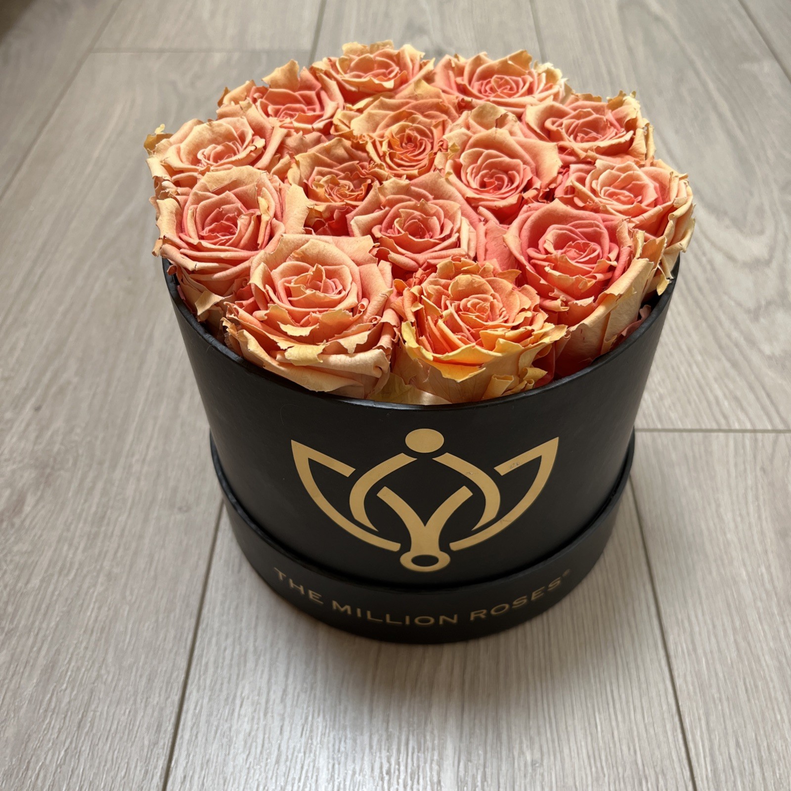 The Million roses, Peach Rose – Black Box. Retail $389 LONG-LASTING FLOWERS