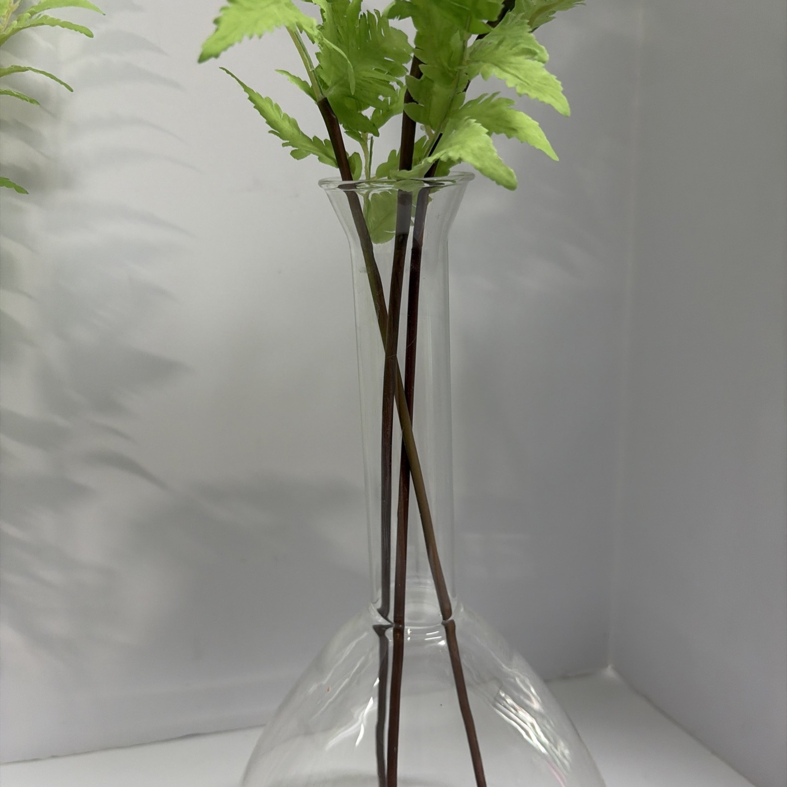 Uttermost Country Ferns and Glass Vases (Set of 2)