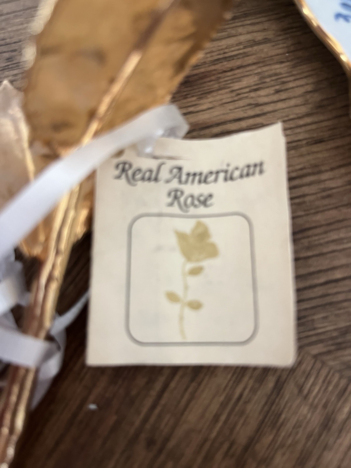 Real Rose Stem Dipped in 24K Gold Finish Metal Floral Décor, Gold Color