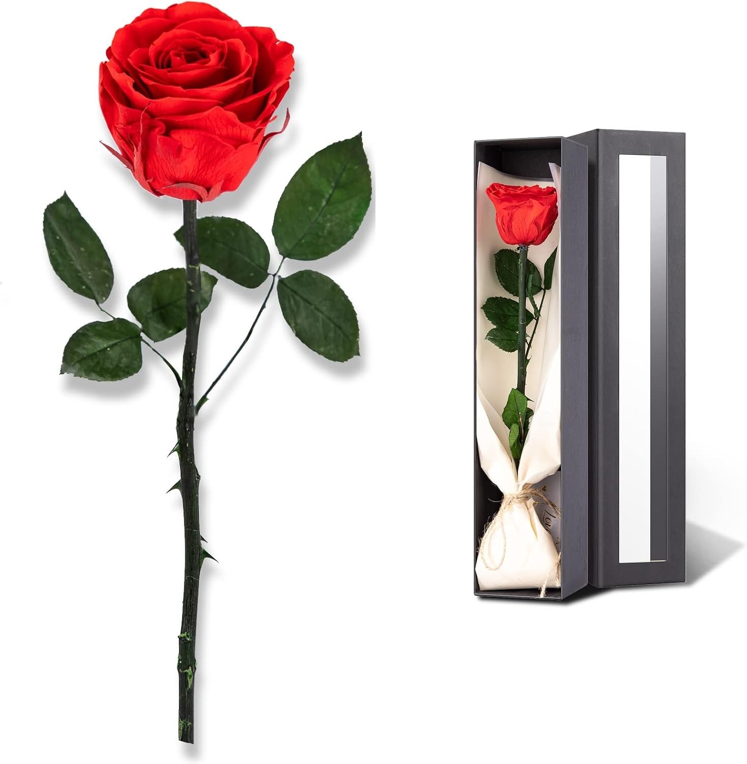 Preserved Red Rose Gifts for Her – A Lasting Symbol of Love and Appreciation
