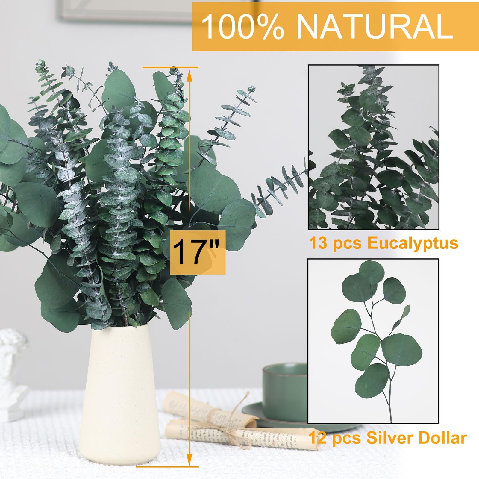25 Pcs Preserved Dried Eucalyptus Stems & Silver Dollar Leaves Bundle, Natura…