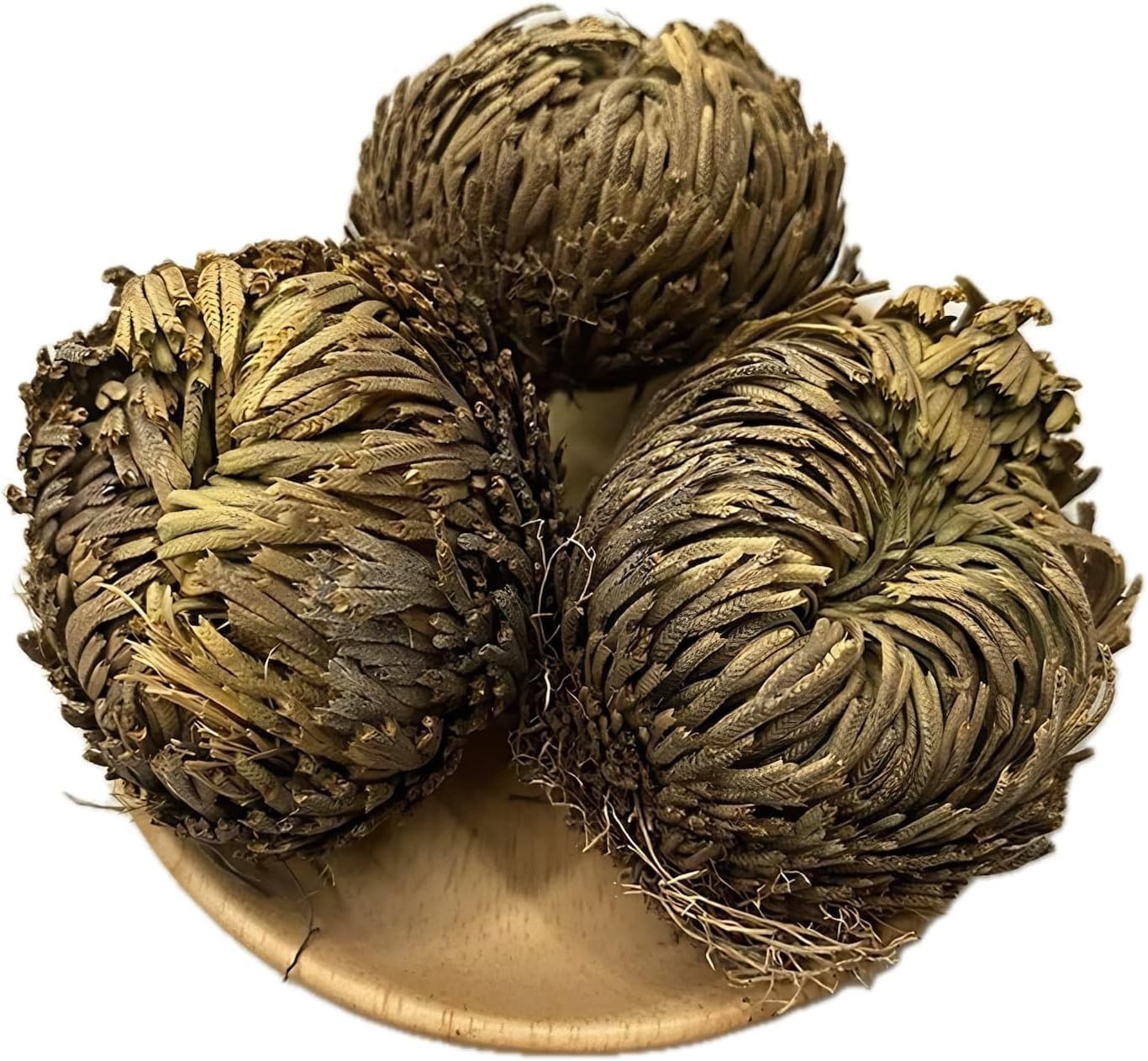 5 Pack Big 3.5″ Rose of Jericho Resurrection Plants, Flor De Jerico Original Dri