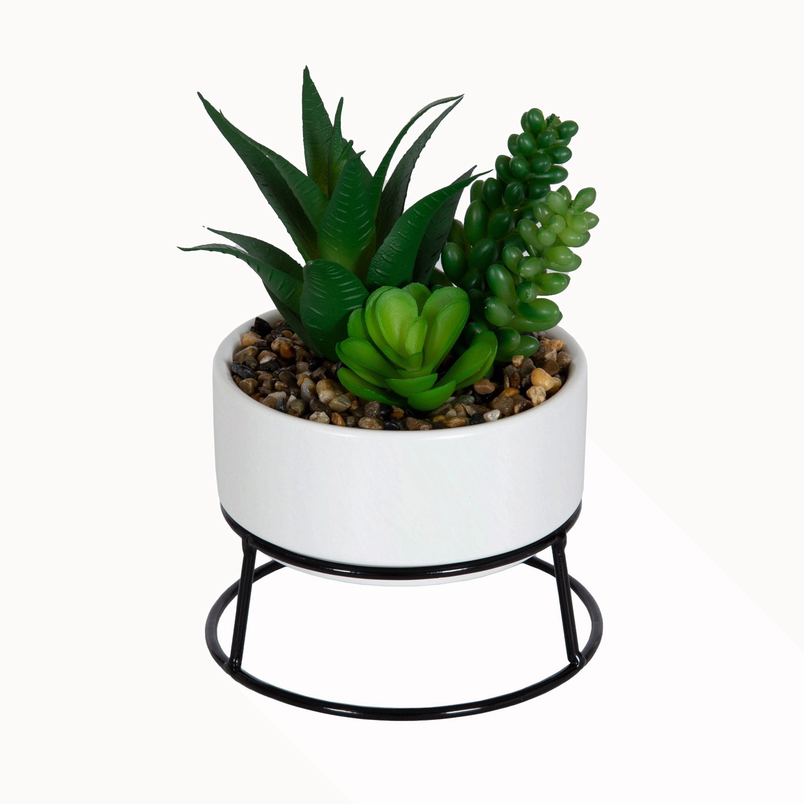 6-pack 6.5″ Artificial Agave and Sedum Succulents in Ceramic Planter, Multicolor
