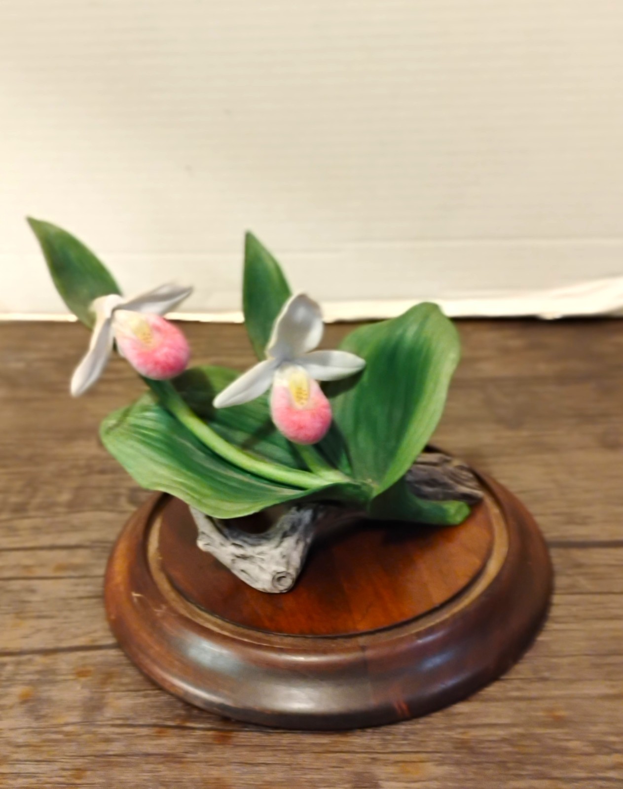 Bisque ‘Lady Slipper’ Cluster Celebrating Bachman’s Floral 100th Anniversary