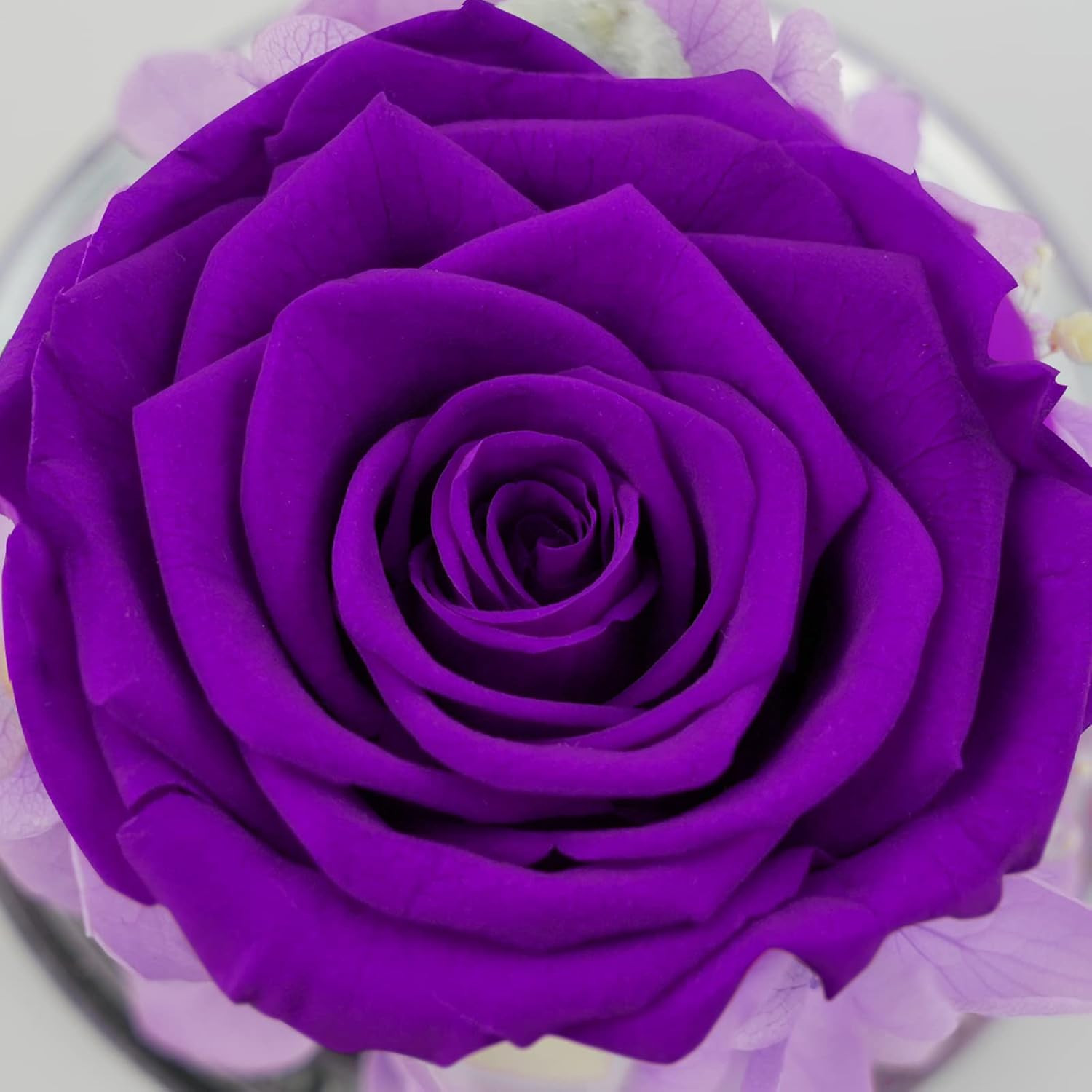 Gifts for Mom Birthday Gifts for Women, Mothers Day Preserved Real Roses in Glas