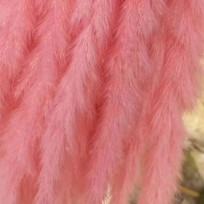 15Pcs Pampas Grass Wedding Home Decor 50cm Stems Real Dry Flower Pantas Dried