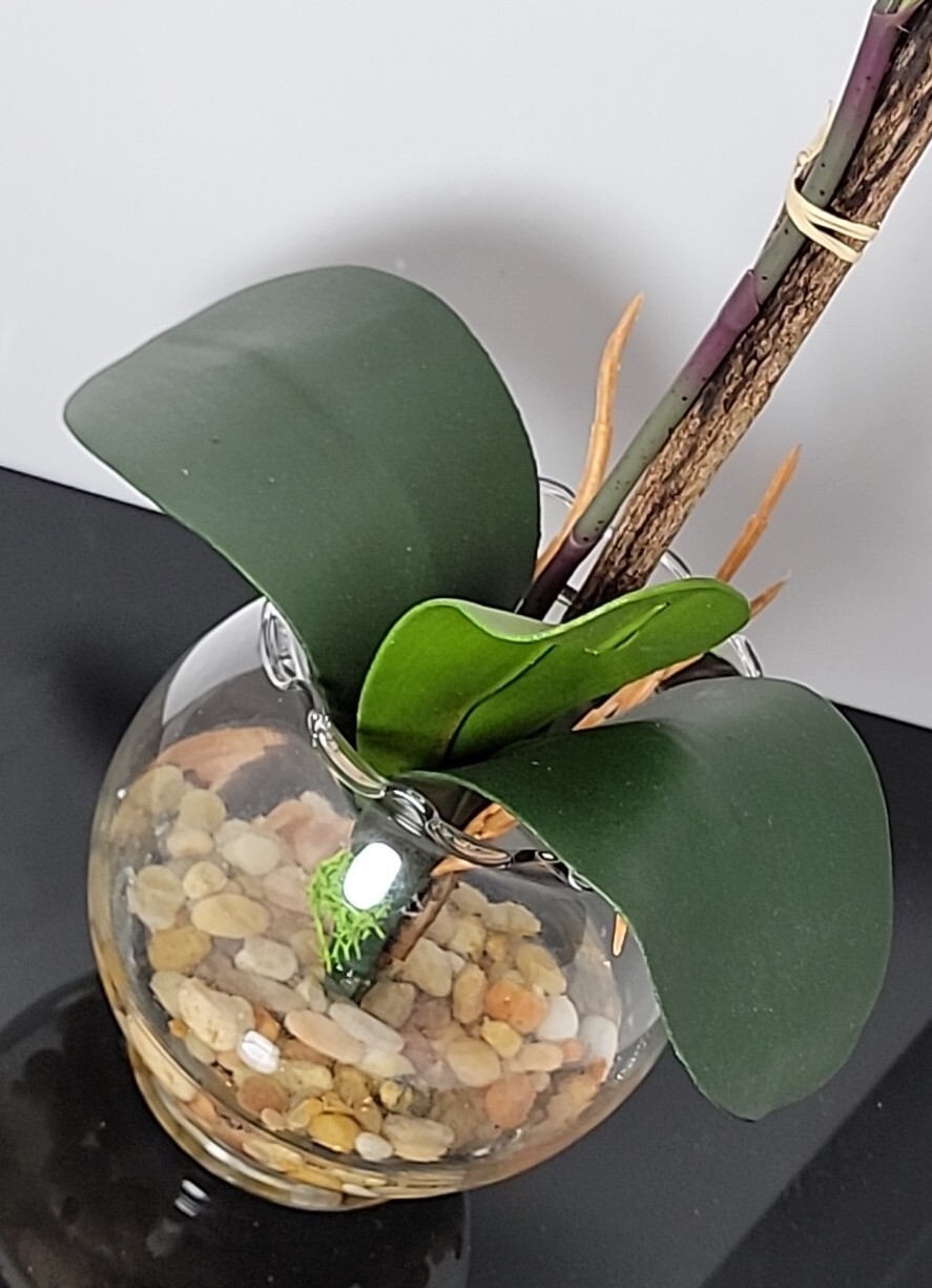 Nearly Natural 1277-WH Mini Phalaenopsis with Fluted Vase Silk Flower Arrangemen