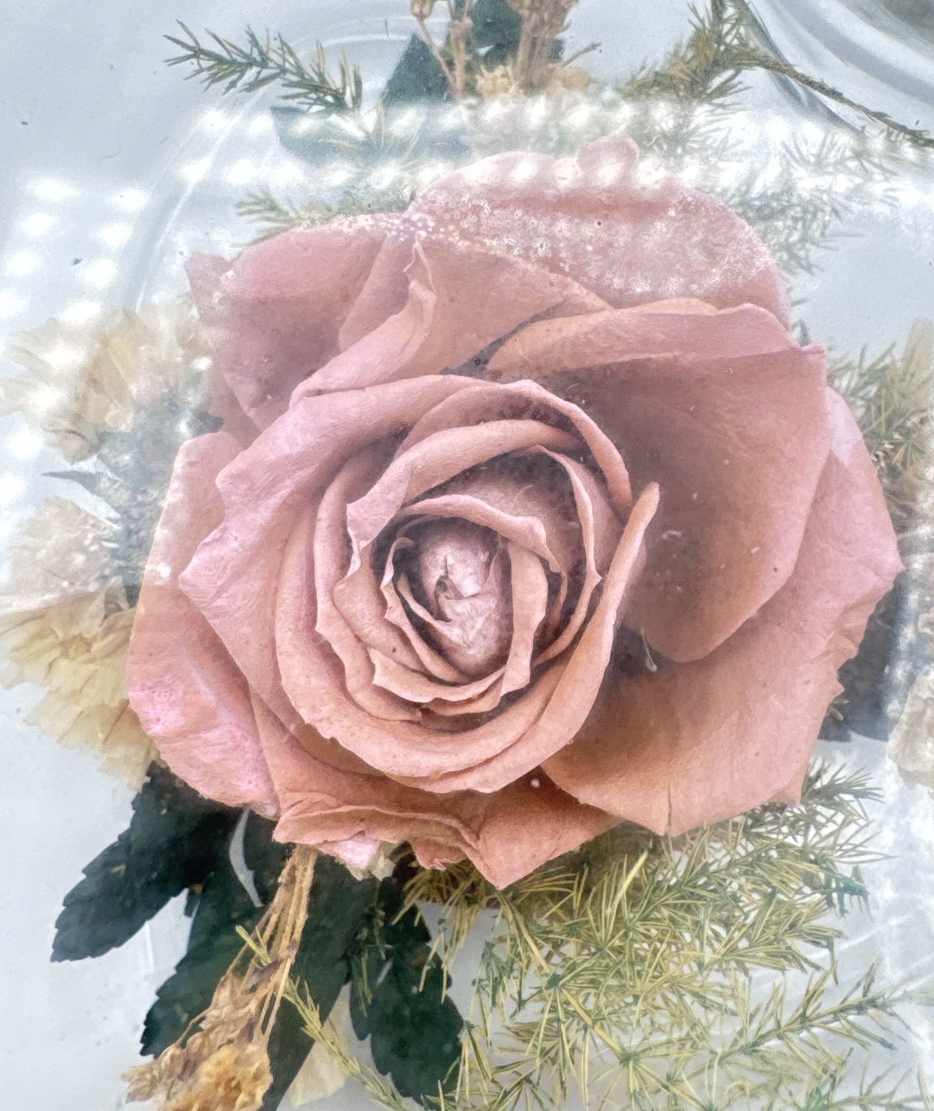 Freeze Dried Pink Rose Heart Shape Glass Box Keepsake Decorative Gift Timeless
