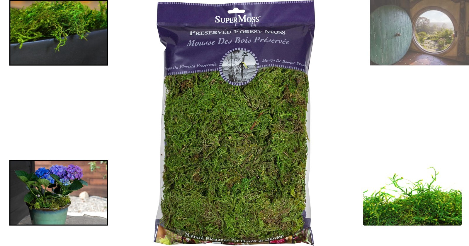 Versatile 8oz Fresh Green Preserved Moss – Ideal for Floral Designs & Events