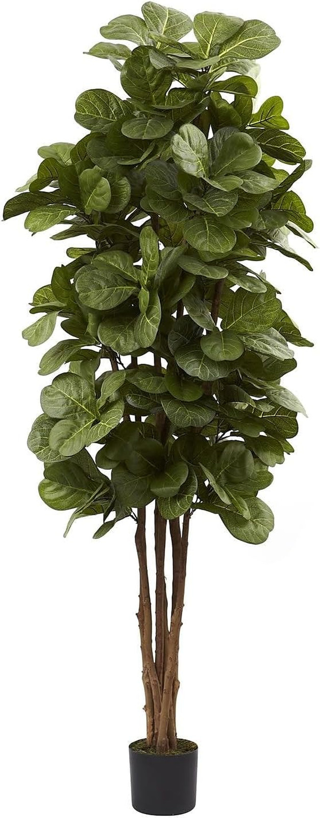 Nearly Natural 6Ft Fiddle Leaf Fig Artificial Tree with 6 Natural Trunks, 270 Lu