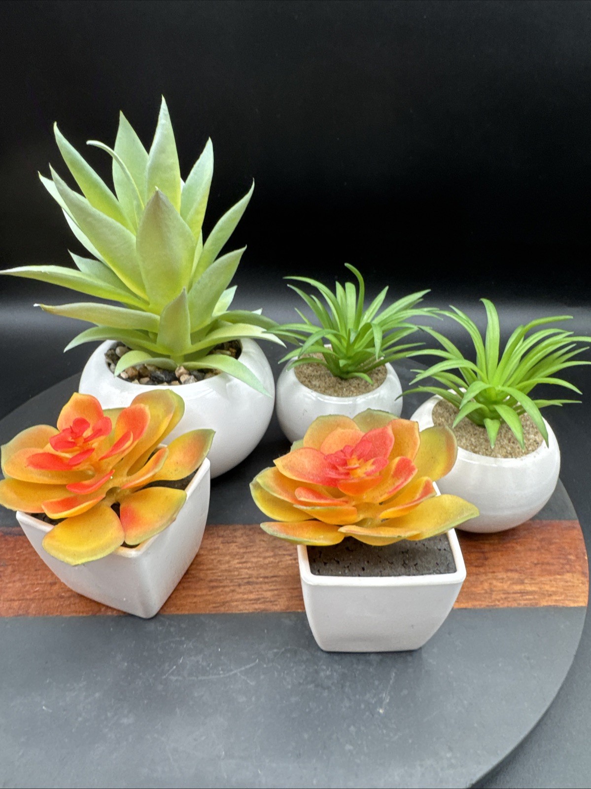 Faux Succulent Plant Set Desk – Realistic Coastal Western Scandi Boho Lot Of 5
