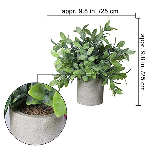 Set of 2 Faux Mini Potted Plants Artificial Eucalyptus Boxwood Plants in Pots…