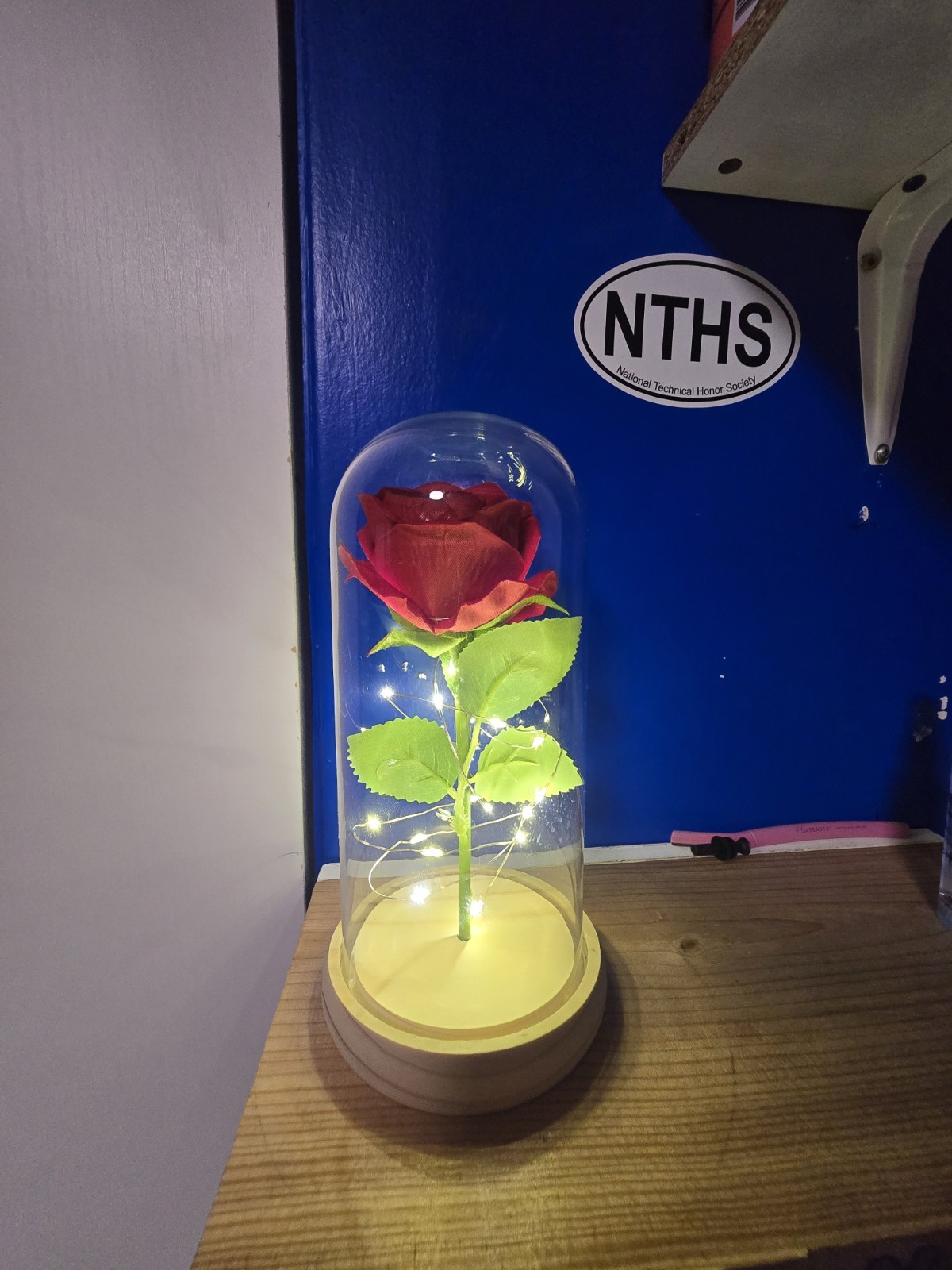 Eternal Red Rose Flower in Glass Dome with LED Lights Floral Decor