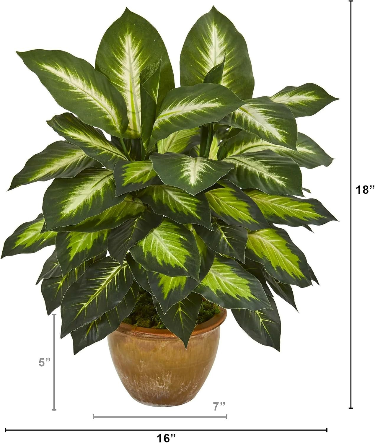Faux Dieffenbachia Plant in Ceramic Planter – Perfect Indoor Decor