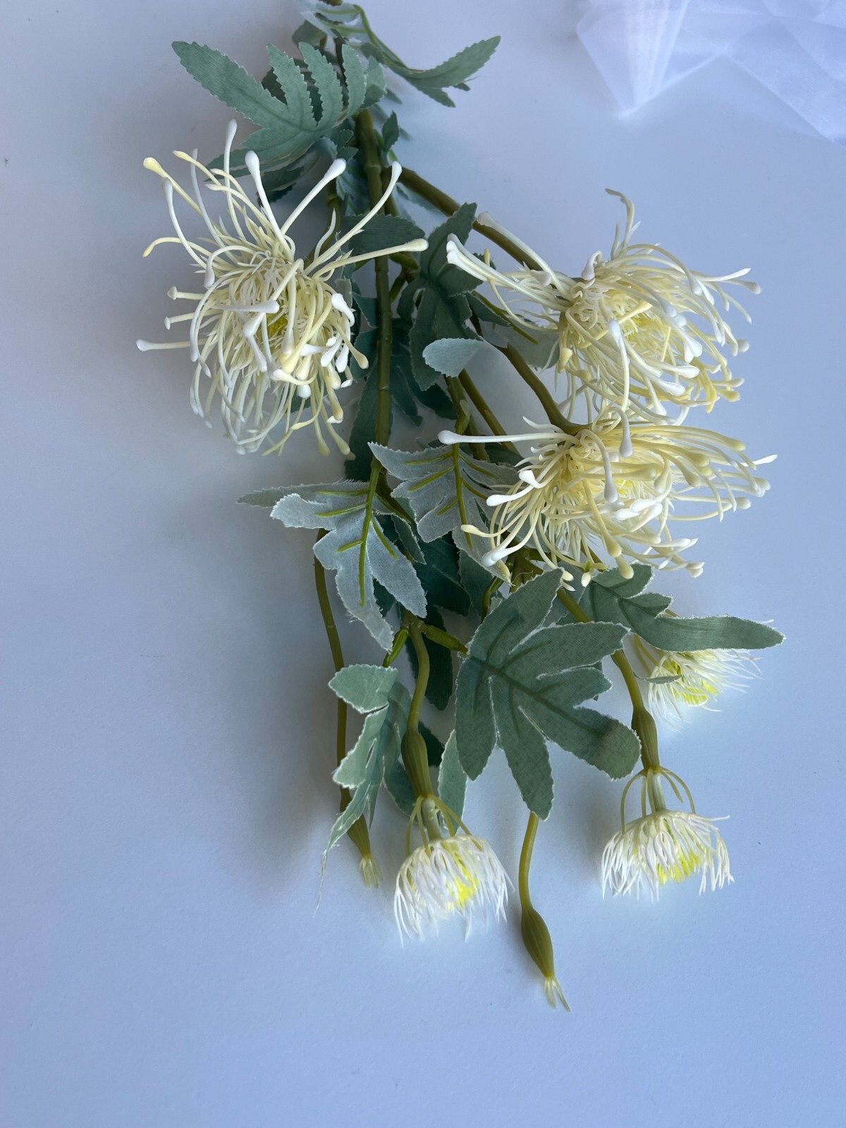 Australian Native Flowers Leucospermum Flower Stem Cream White Faux Silk Plastic