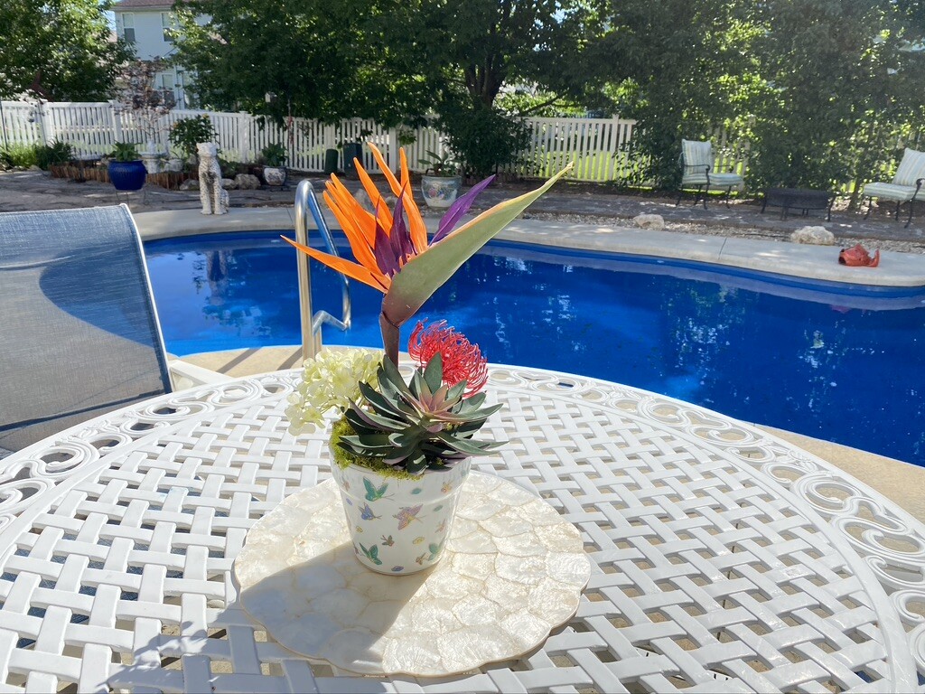 Decorative Planter with Dragon Flowers and Tropical Flowers in Butterfly Pot