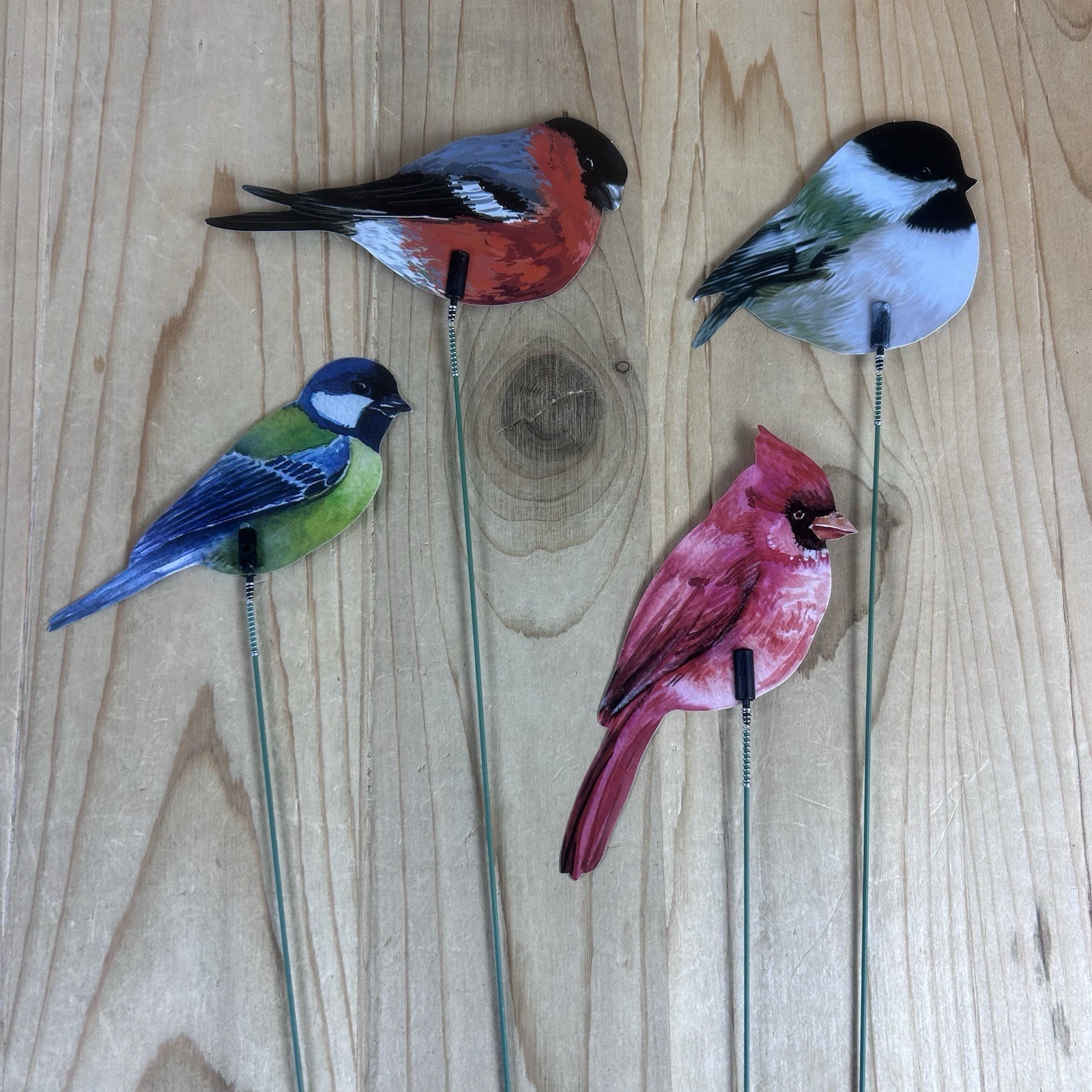 Decorative Bird Plant Sticks Set Of 18 Double Sided Vinyl 13 Inch Pot Stake