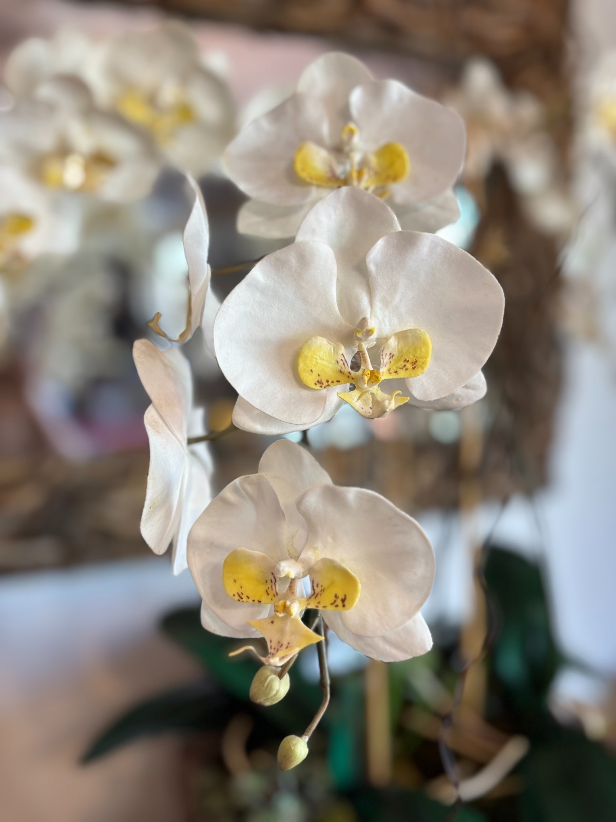 White Orchid Succulent Moss Faux Plant Arrangement