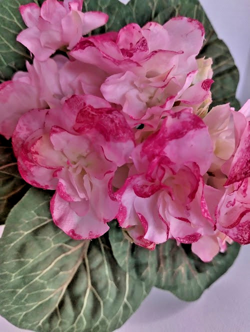 8″ ARTIFICIAL Semi-Miniature African Violet – no pot.