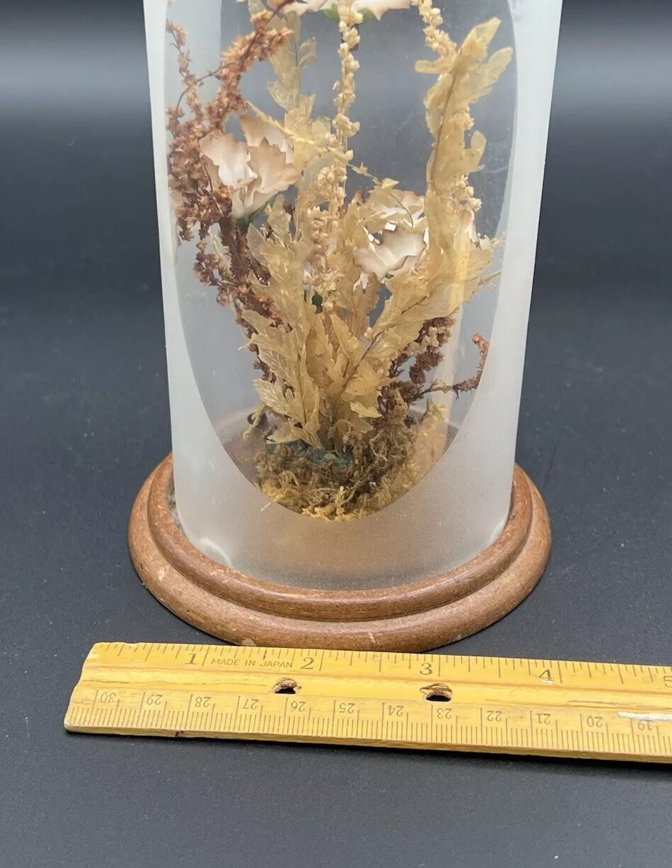 Vintage Terrarium Dome Display Dried Flowers Wood Base 1970s 7.75”