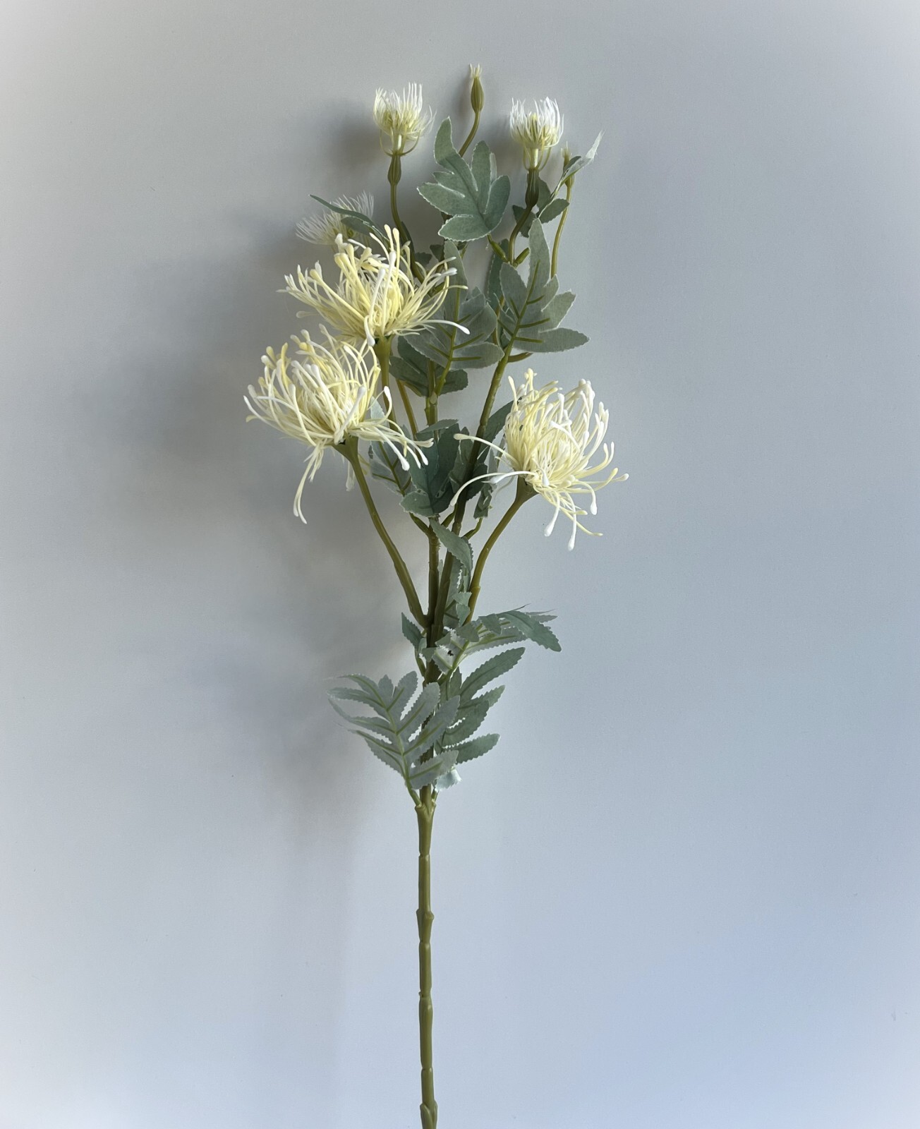 Australian Native Flowers Leucospermum Flower Stem Cream White Faux Silk Plastic