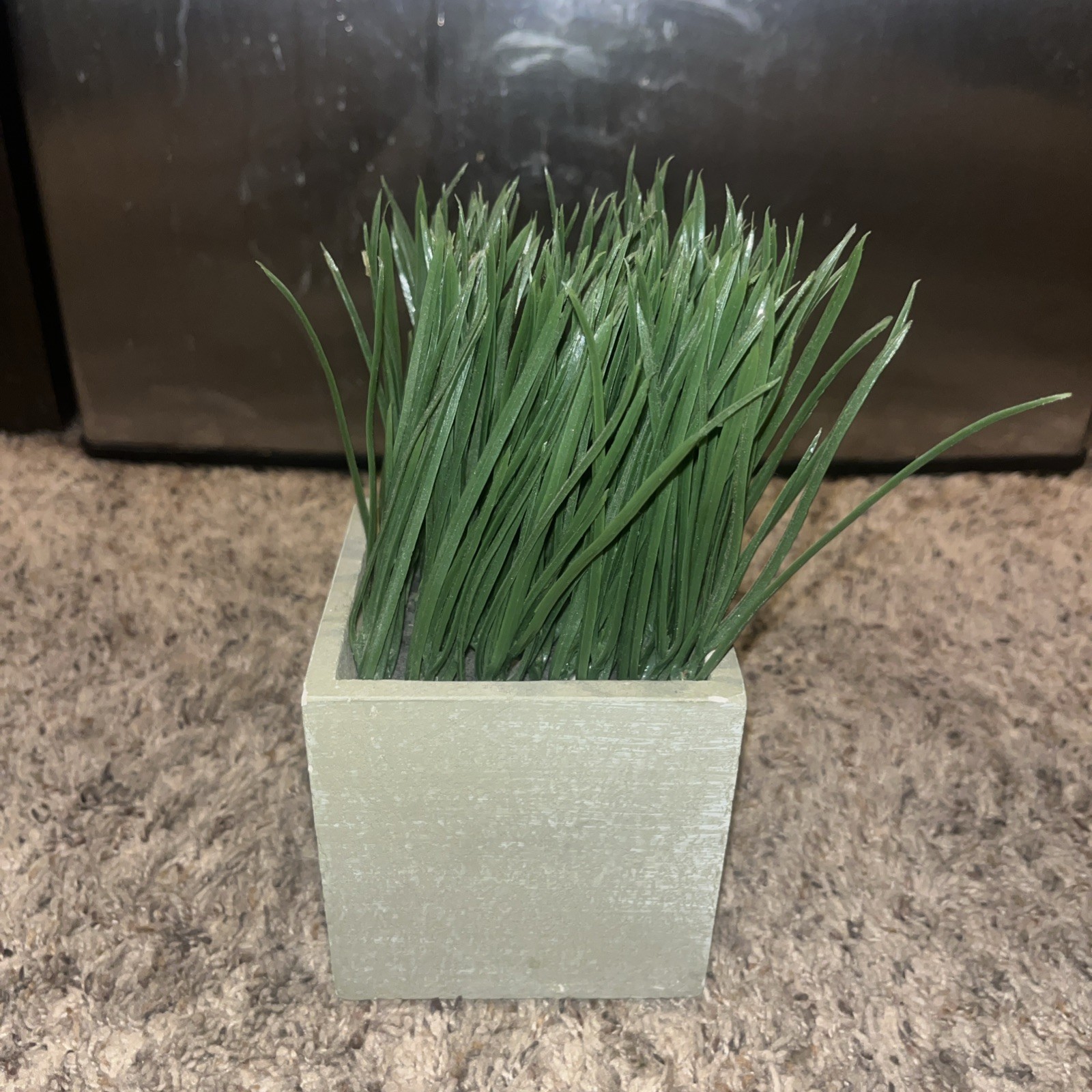 RusticReach Faux Grass in Black Pot￼