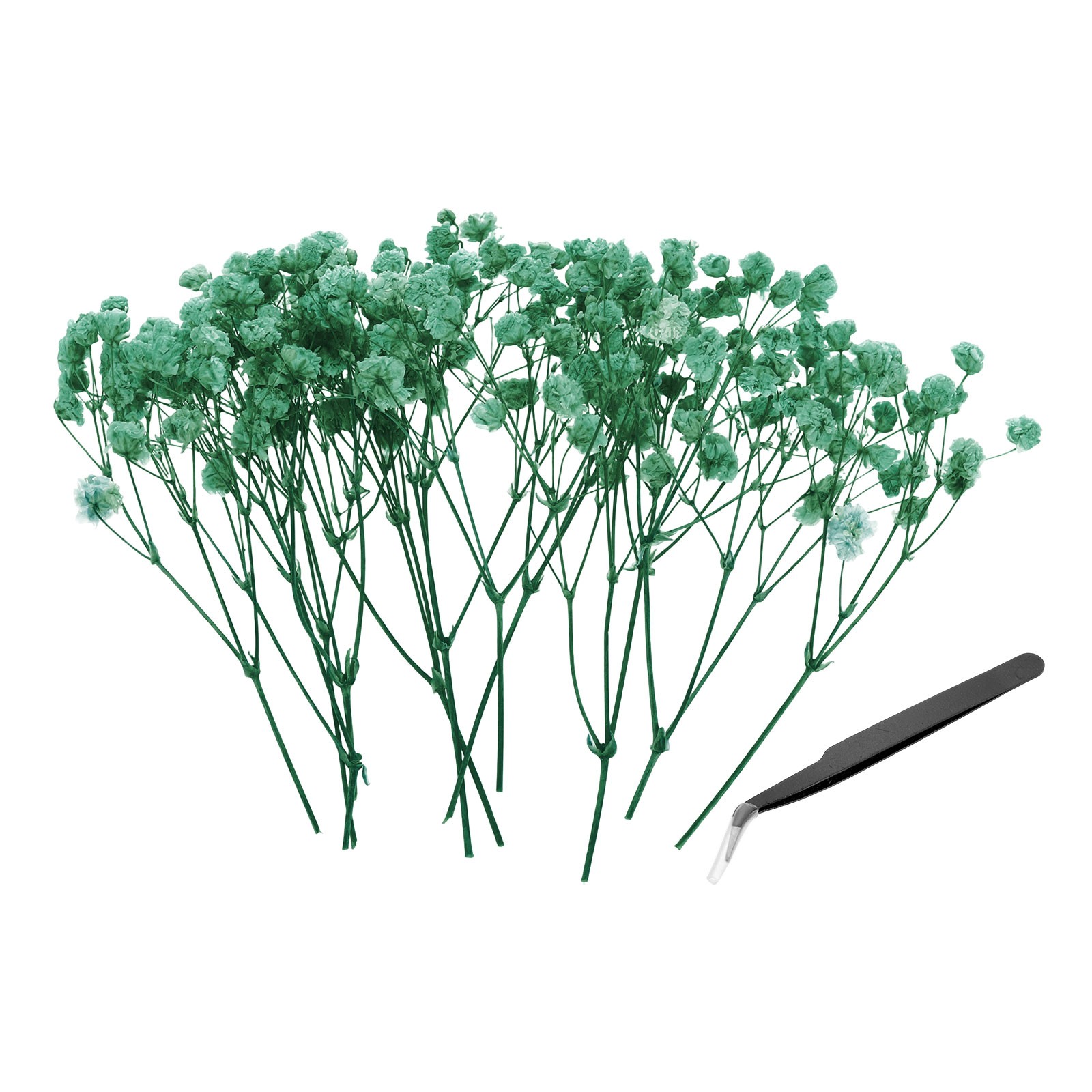 30 Pcs 4″ Dried Gypsophila Flower Light Blue Pressed Flowers w Tweezer for DIY