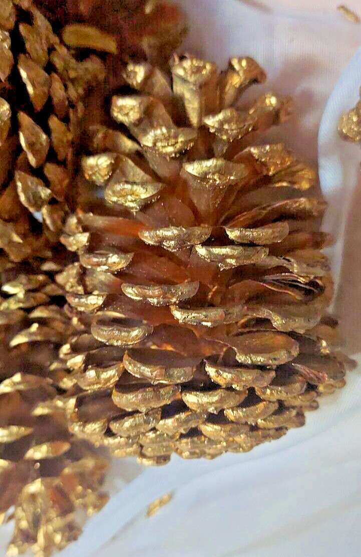 🎅15 Gold Painted Natural Pinecones