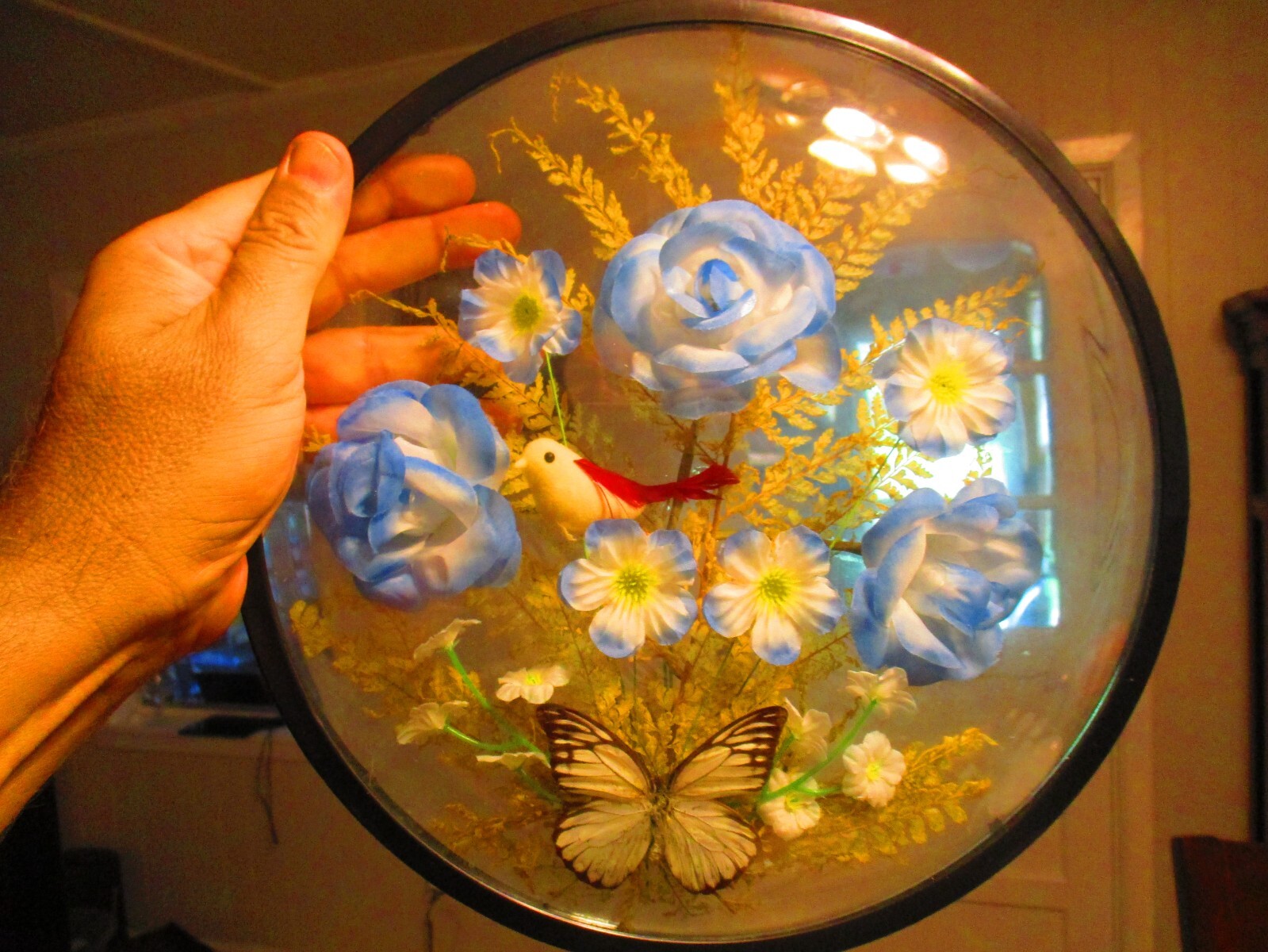 Lighted Butterfly bird flowers round encased 11.5” plastic display artwork