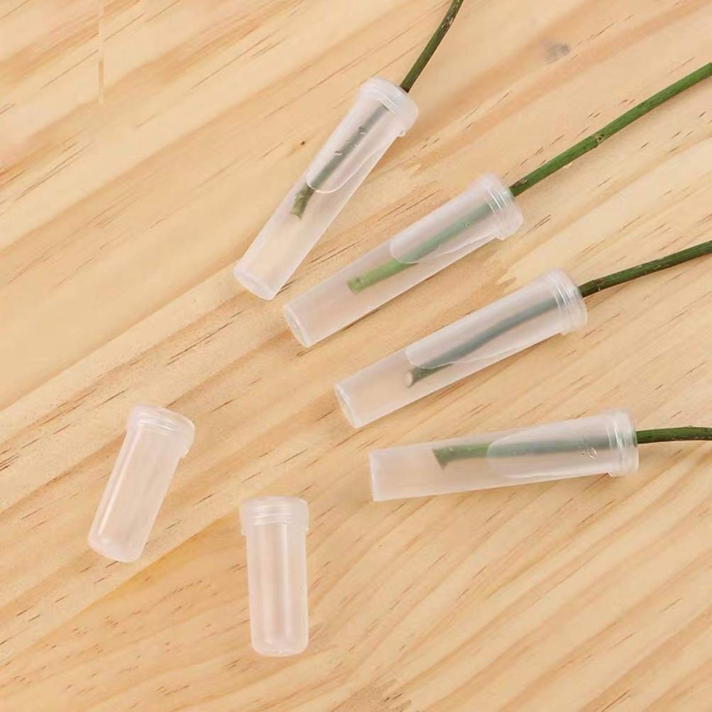 50 Pcs Transparent Plastic Flower Water Tubes Floral Tube for Flower Arrangem…