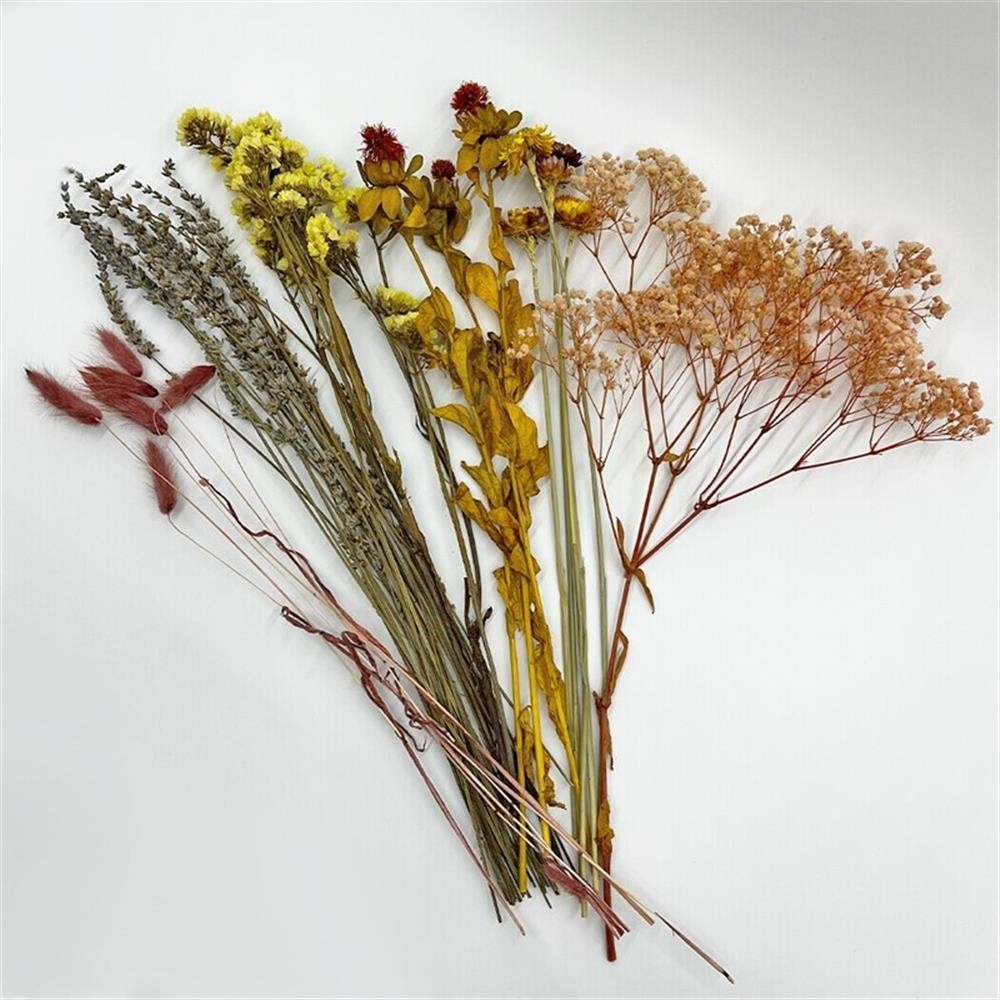 Pemberly Row 10-inch High Real Preserved Mixed Bouquets in Small Size
