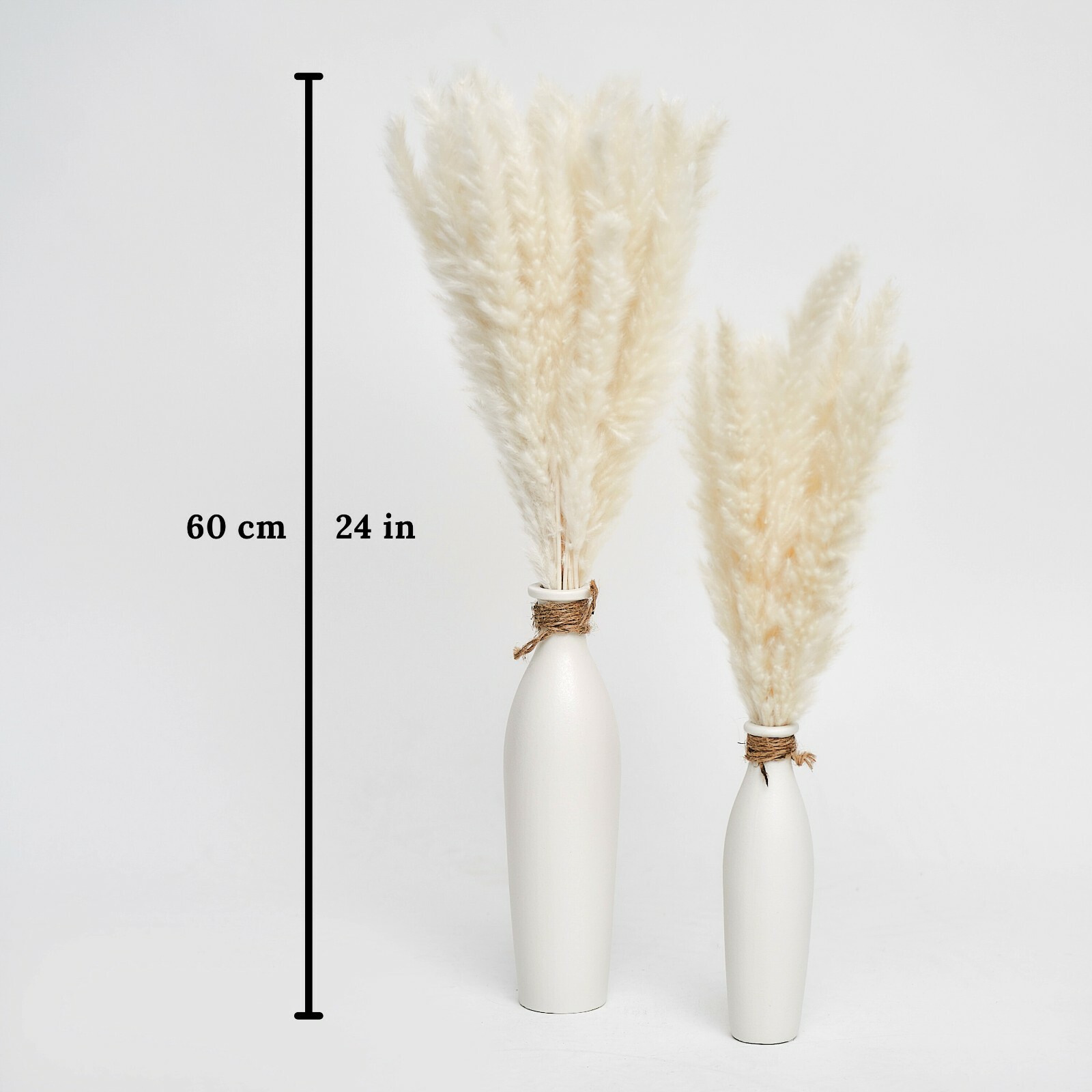 Fluffy City – 60 Pieces Natural Dried Pampas Grass with Wall Hanging Decor Set