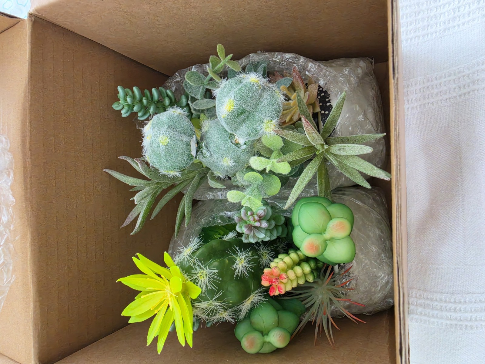 Arnore Florals Artificial Succulent & Cactus Garden Planters Set of 2 4in