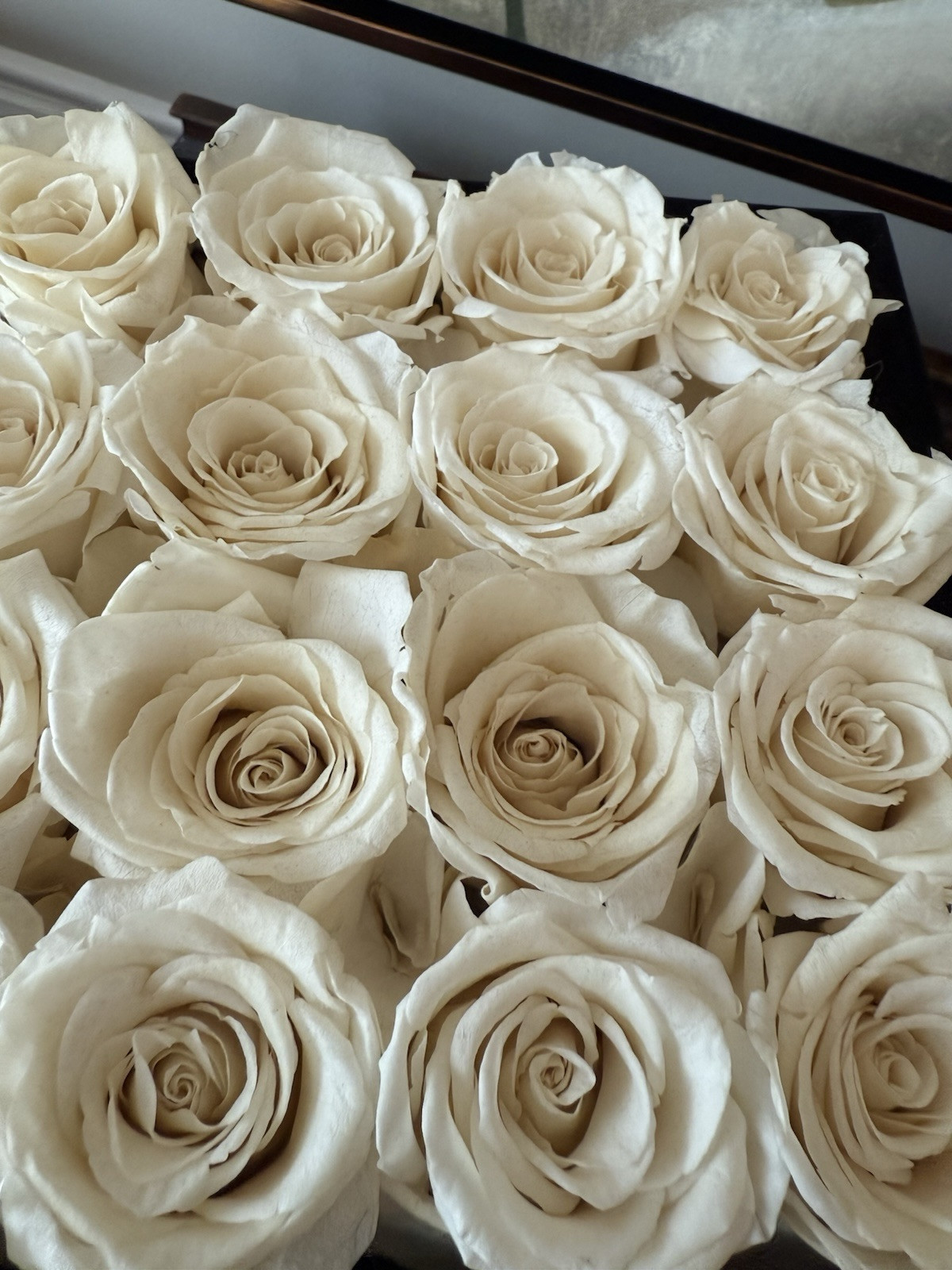 Rose Forever New York Real Preserved 16 White Roses Rose Black Velvet Square Box