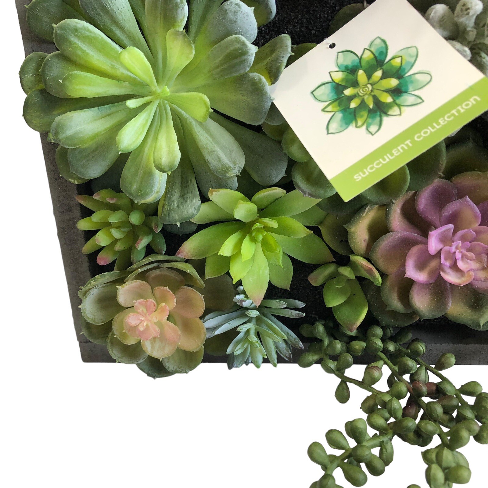WALL OF FAUX SUCCULENT Cactus in Gray Wood Box Decor Display 12x12x3 inches New